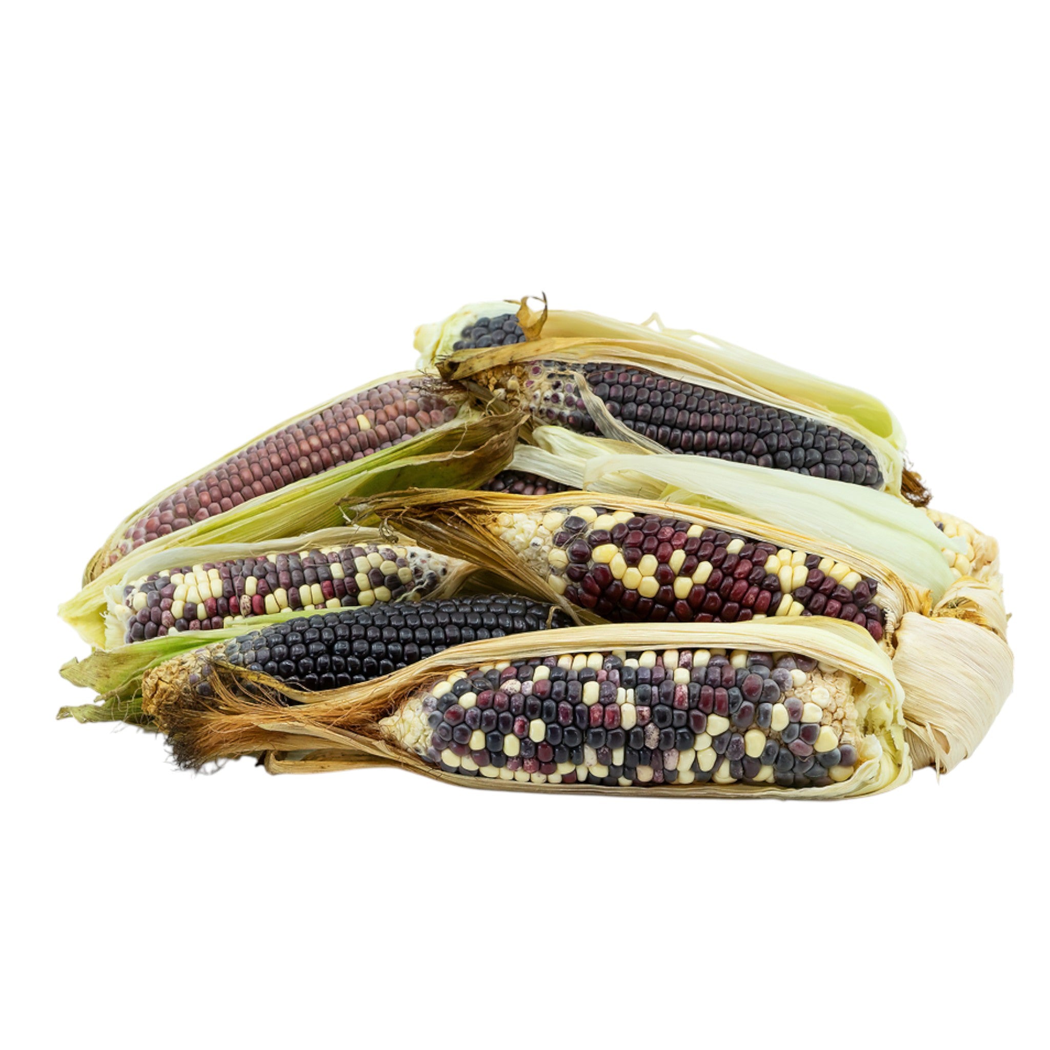Sticky Corn | Kolbu Man