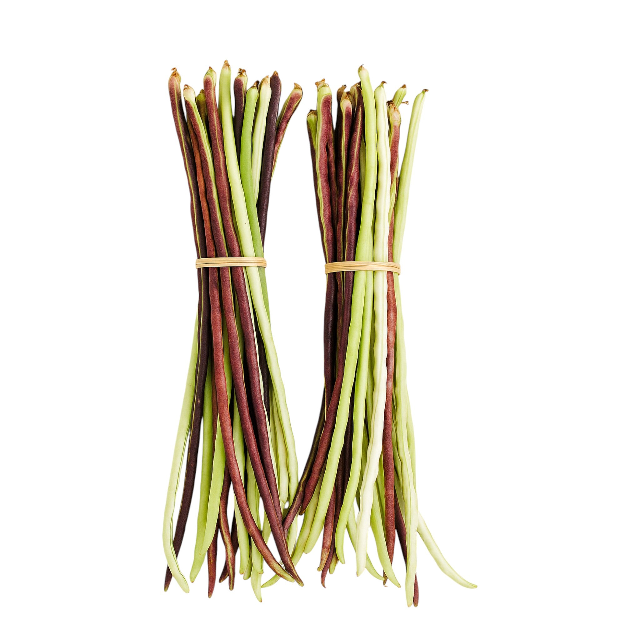 Traditional Beans | Bekungbul