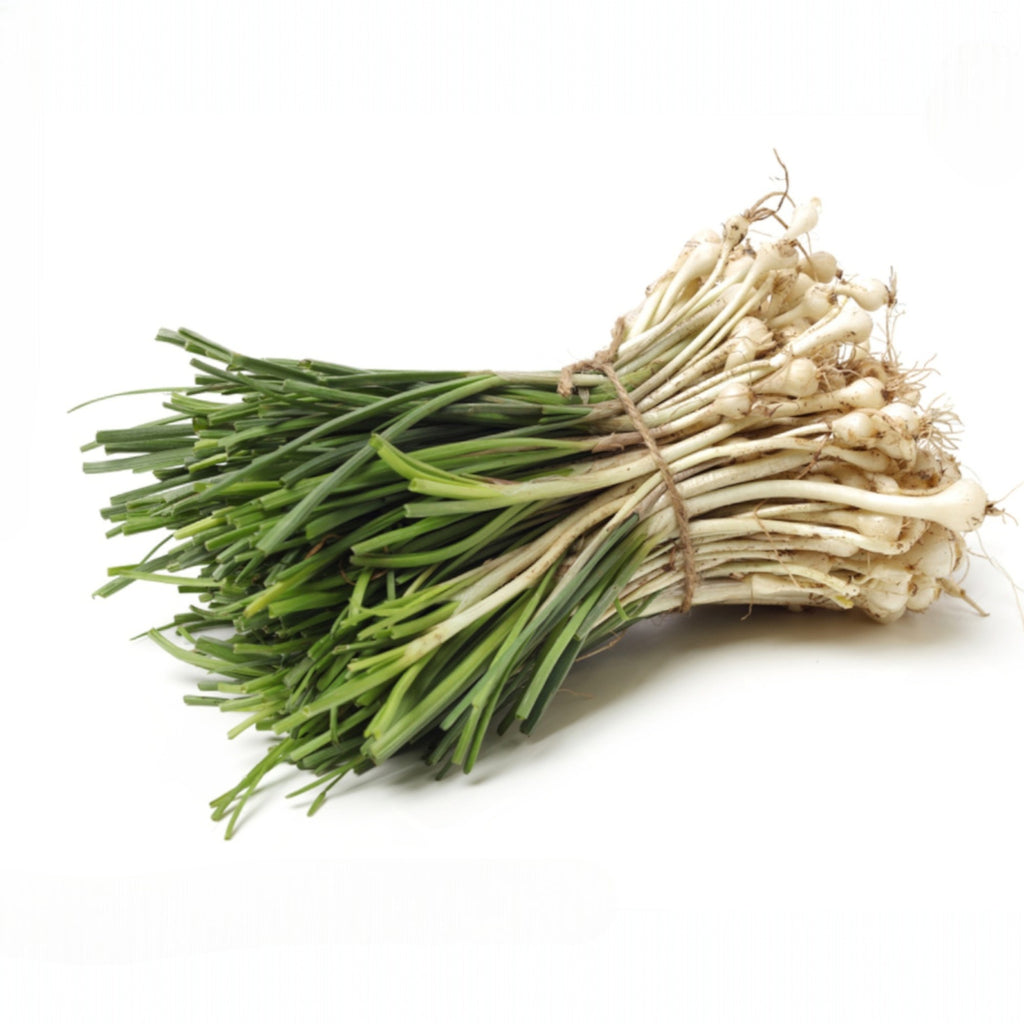 Fragrant Garlic Chives