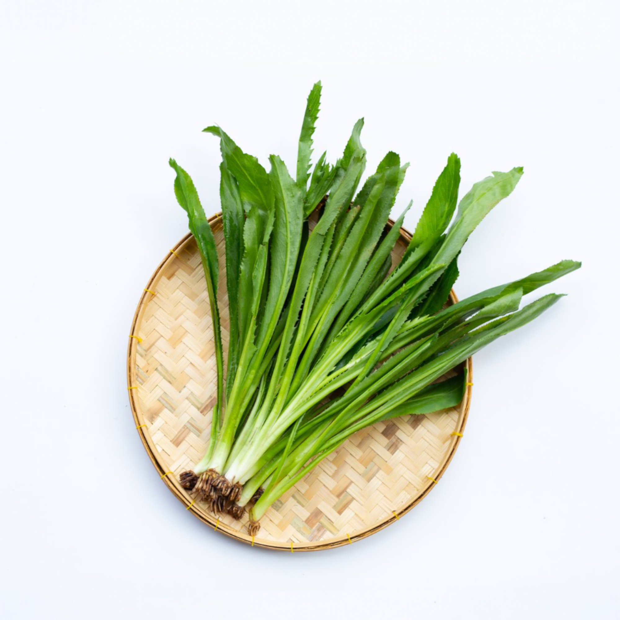 Culantro | Wild Coriander |Samaroi