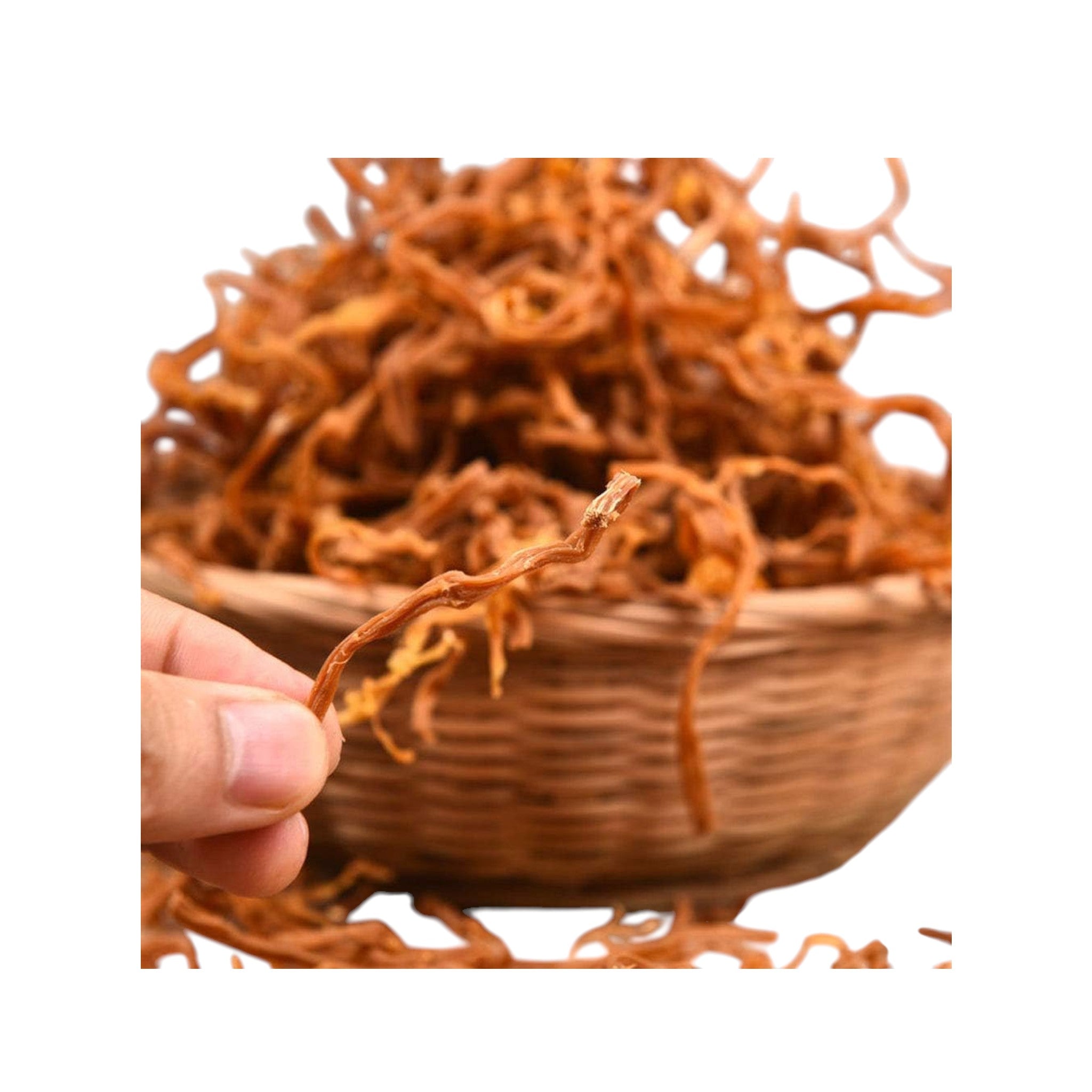 Shredded & Sun-Dried Bambooshoot 30gms