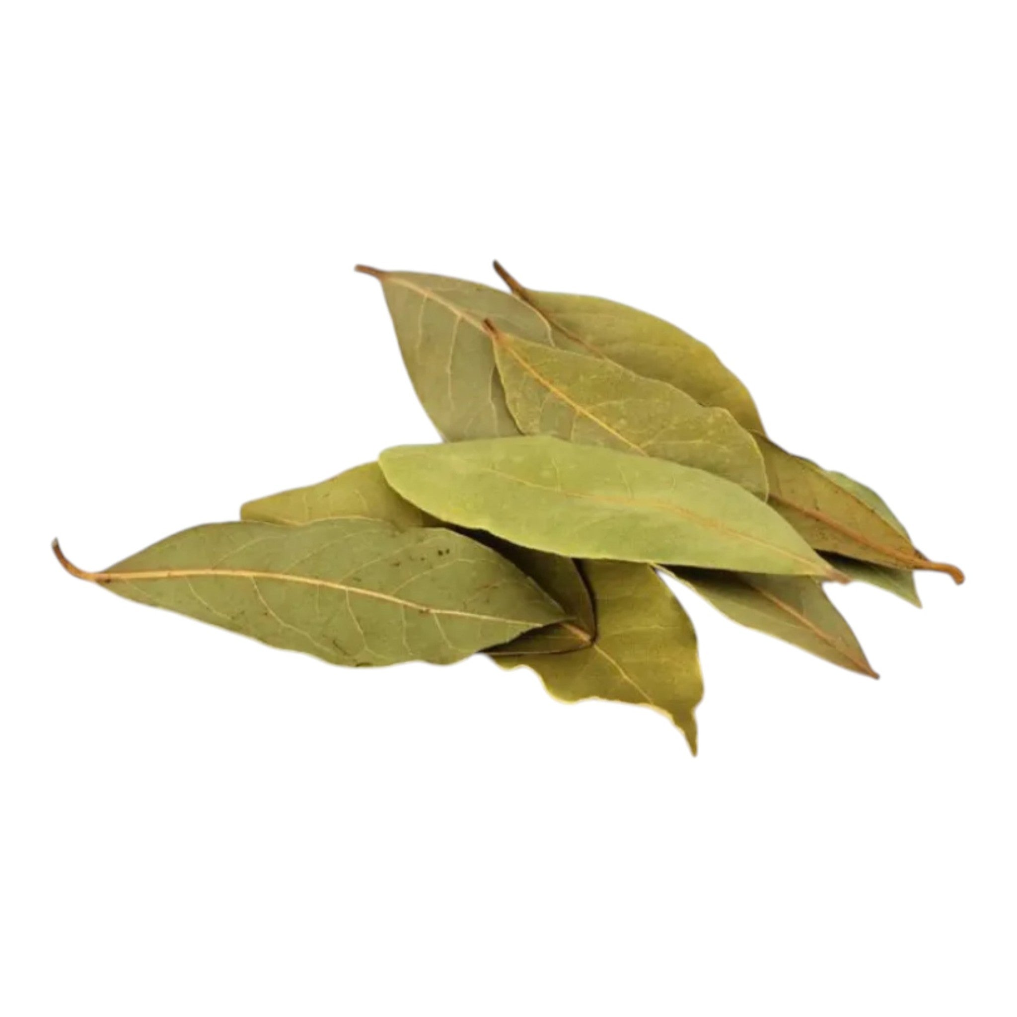 Dry Bay Leaves - 50gm