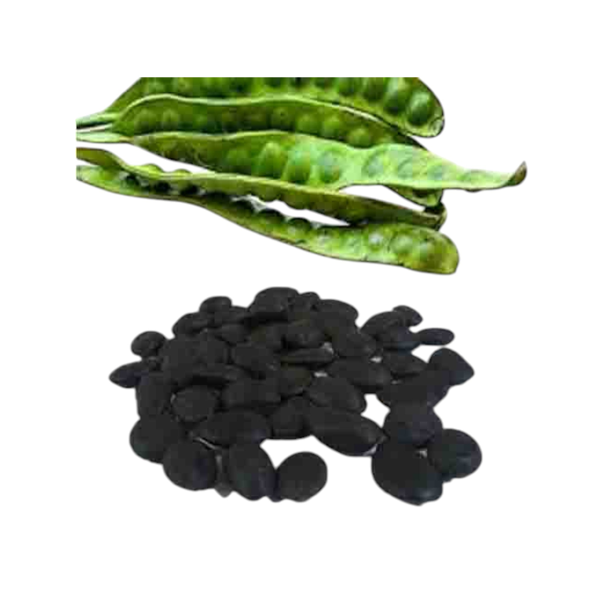 Stink Bean Seeds | Jonglha Mu | Jongchak Maru