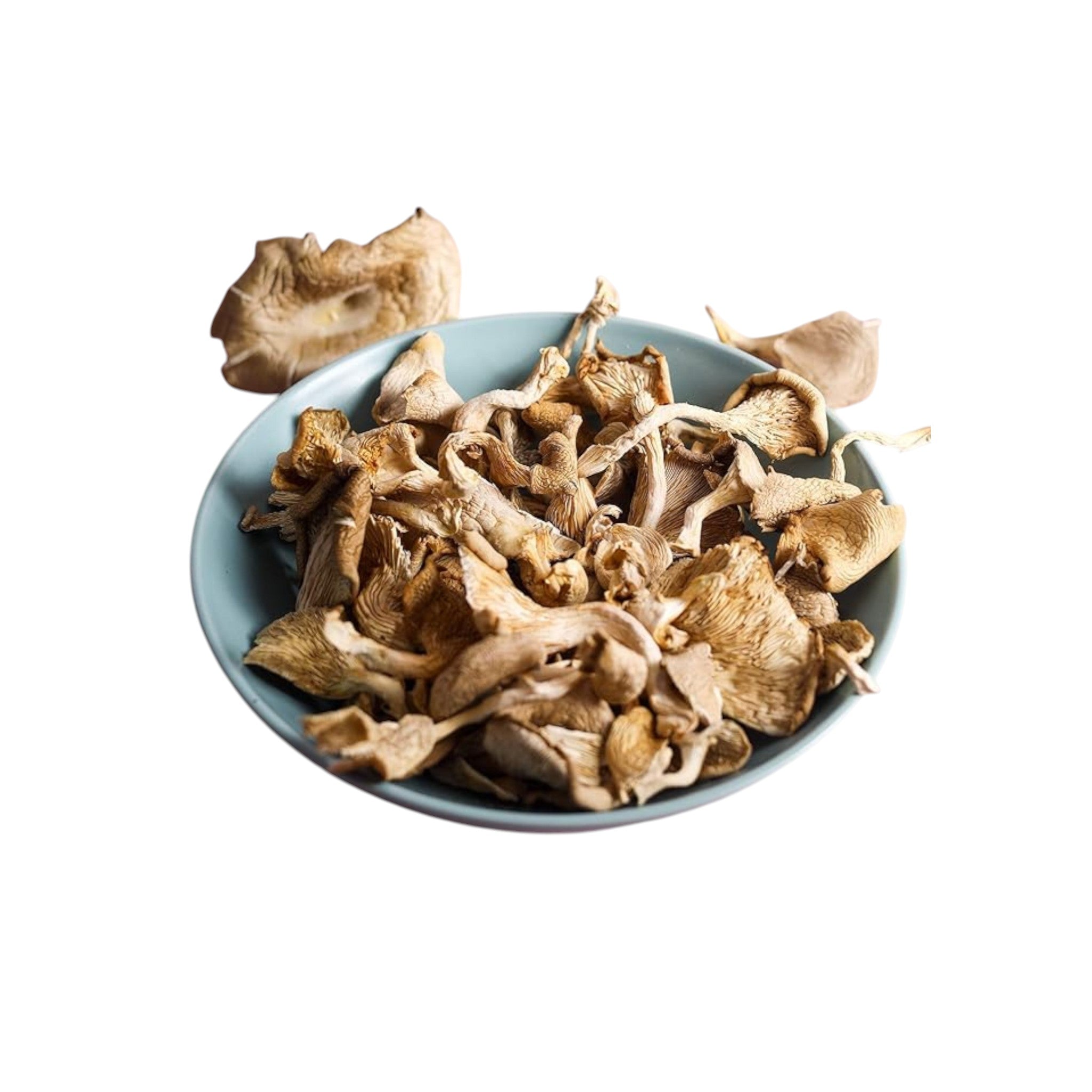 Dried Oyster Mushroom-100g