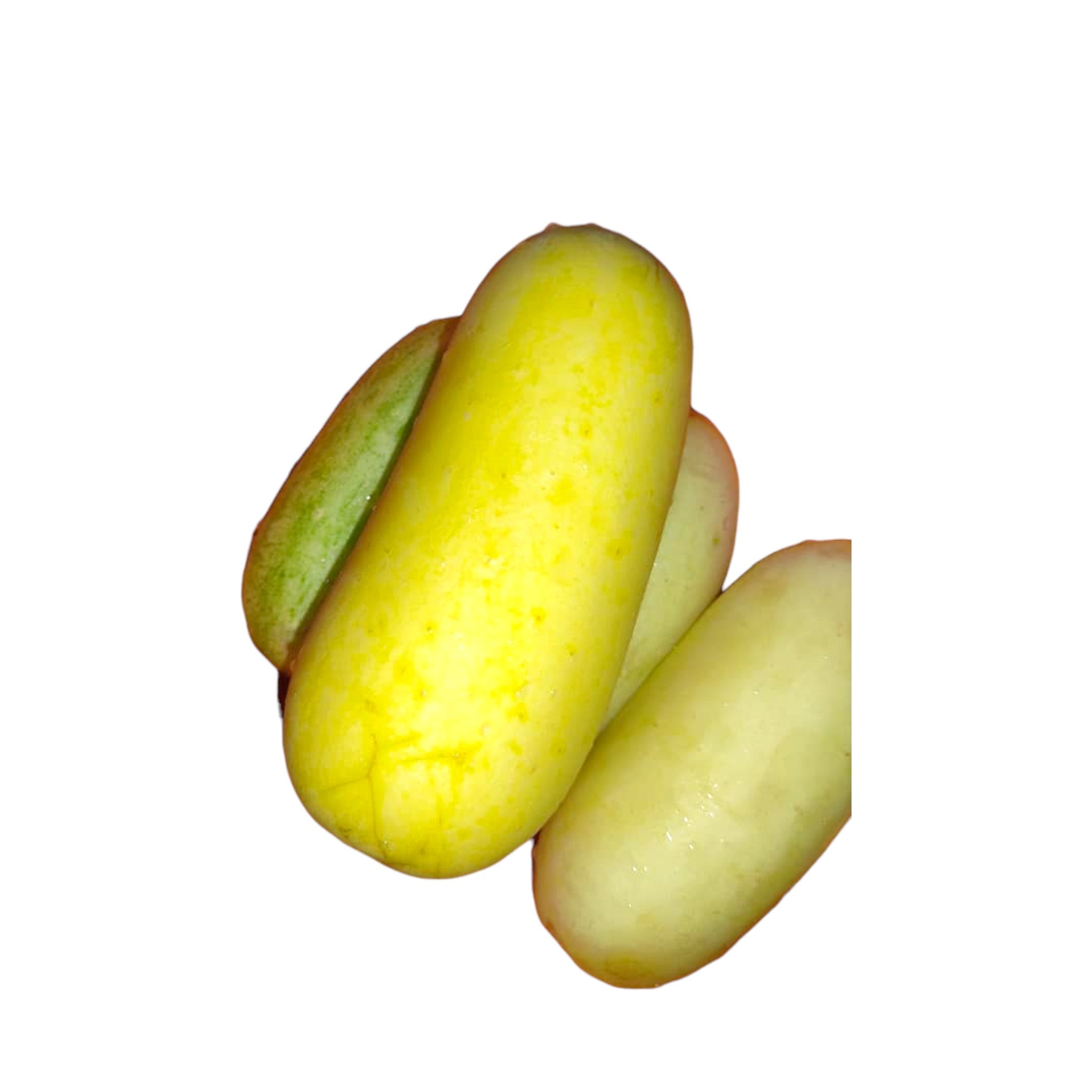 Yellow Cucumber | Thabi