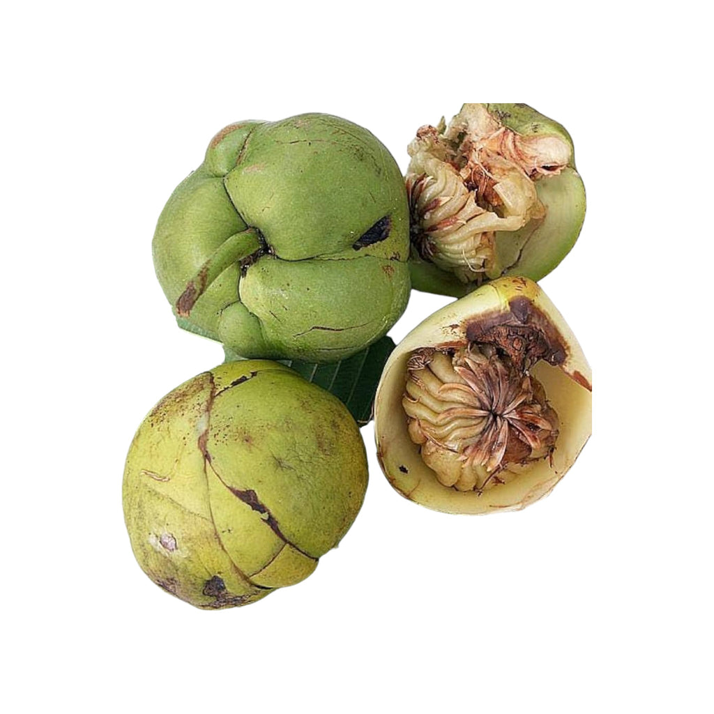 Elephant Apple - 1Pc