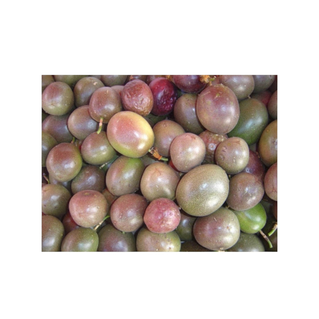 Passionfruit | Sapthei -3pcs