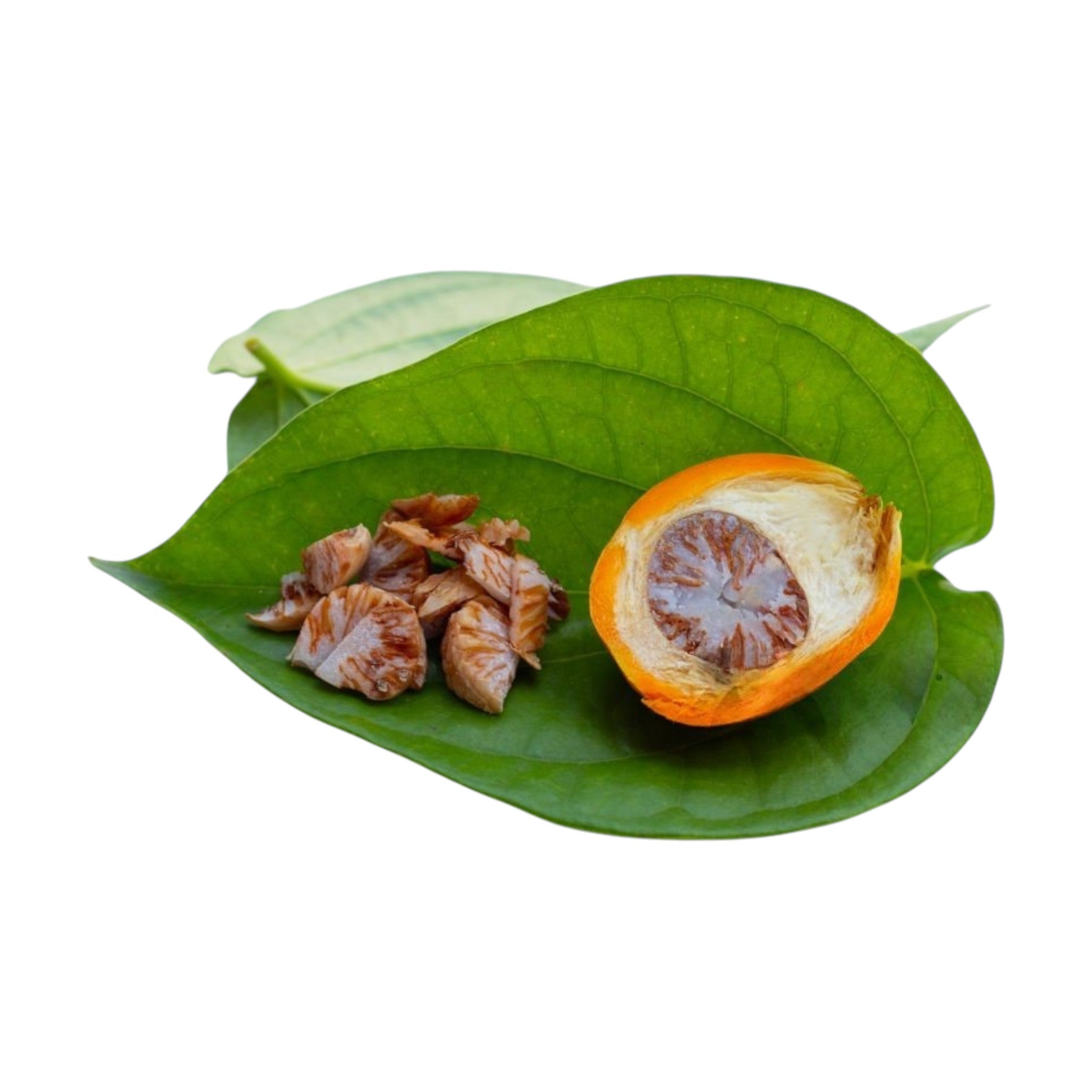 Betlenut | Tamul | Kom Kuva