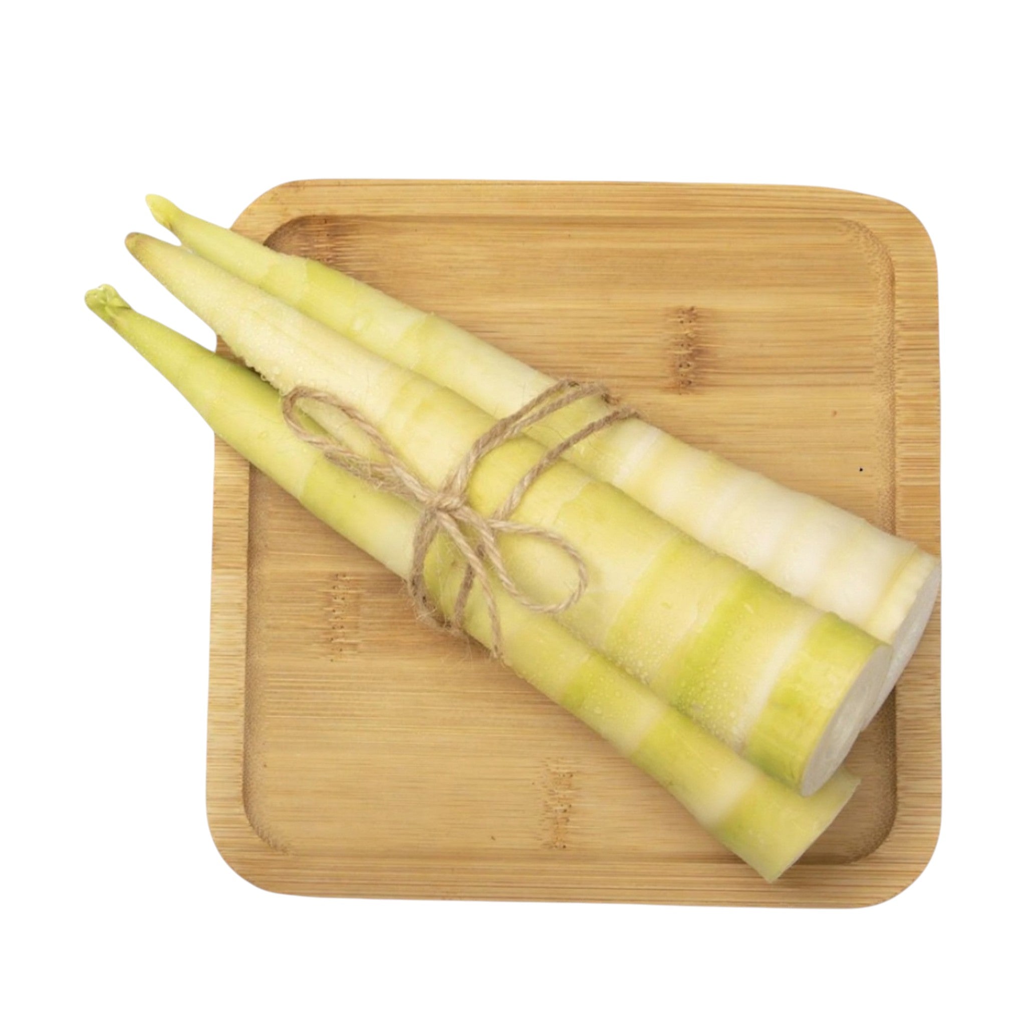 Tender Fresh Bambooshoot | Maotoi