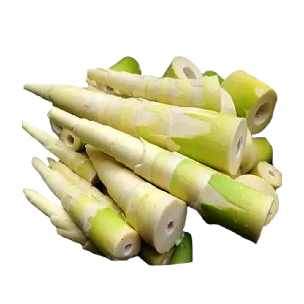 Tender Fresh Bambooshoot | Maotoi