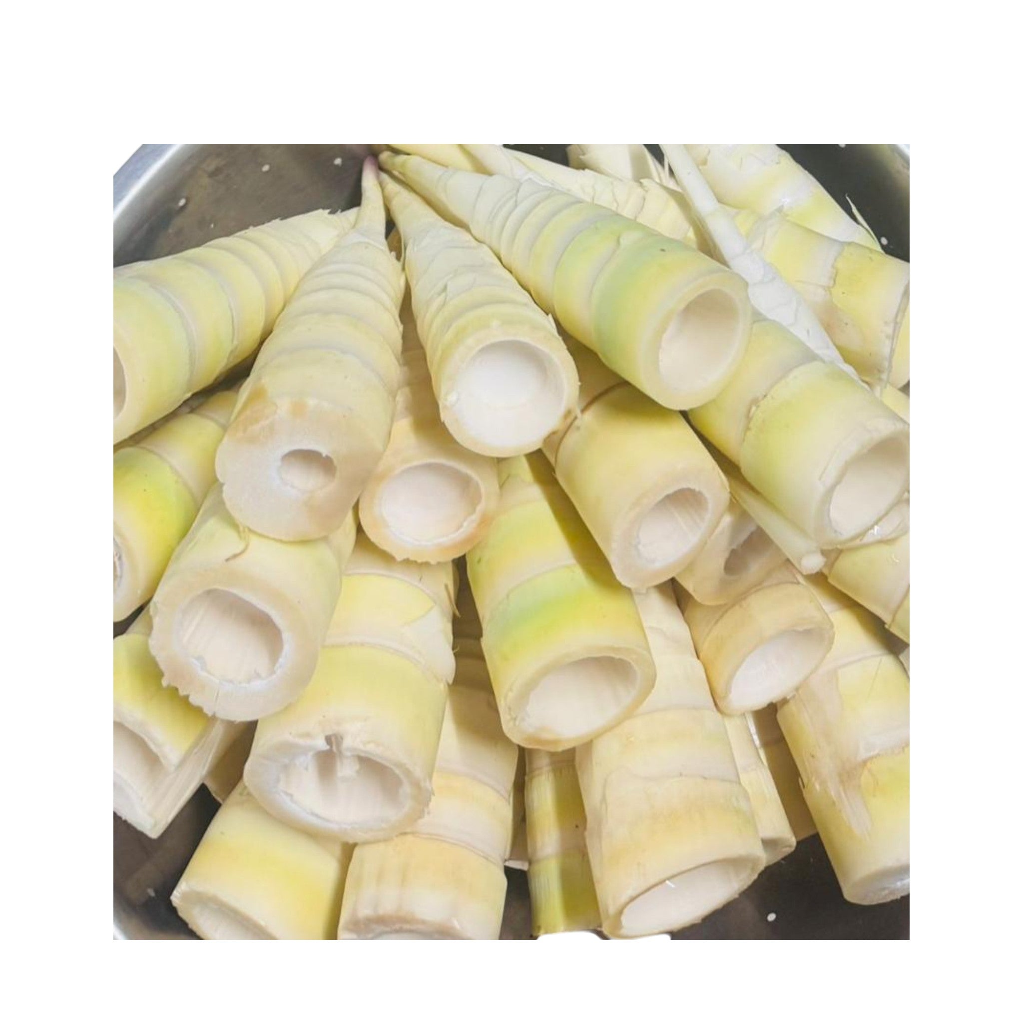 Tender Fresh Bambooshoot | Maotoi
