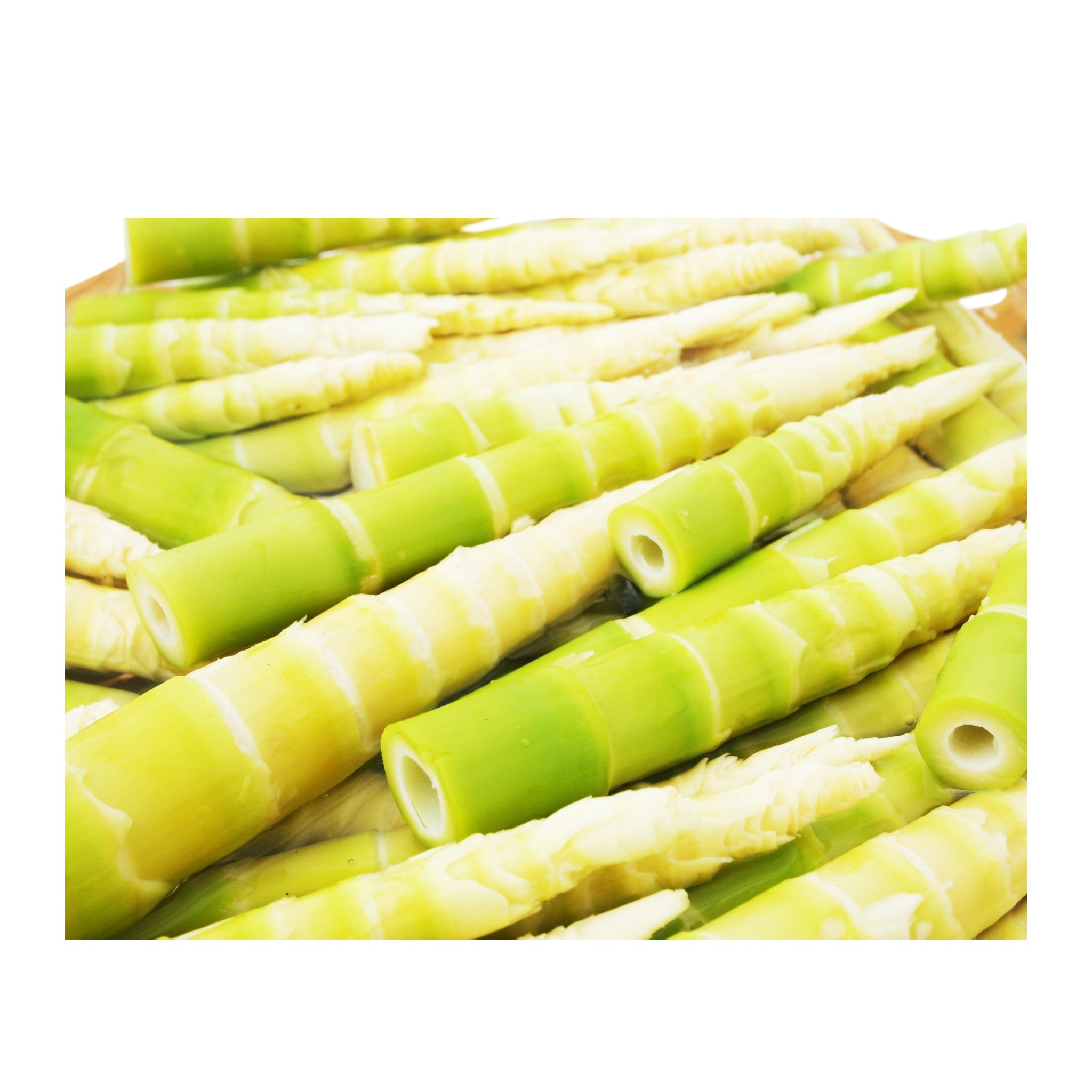 Tender Fresh Bambooshoot | Maotoi
