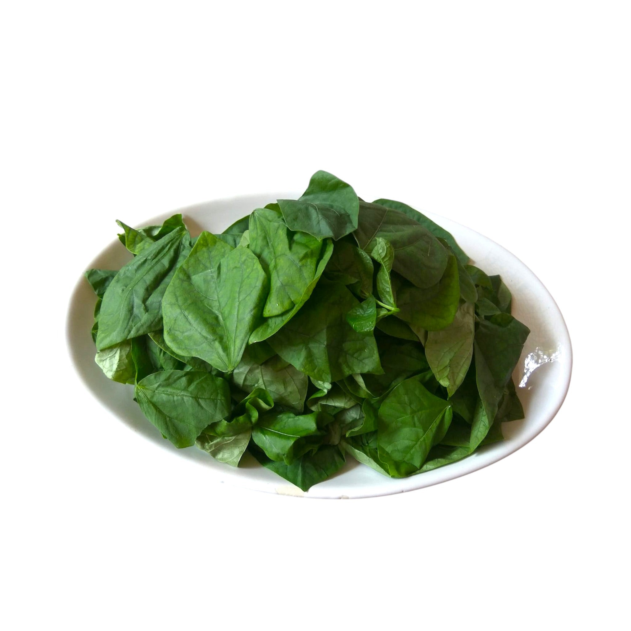 Northeast Bean Leaves-1 Bunch