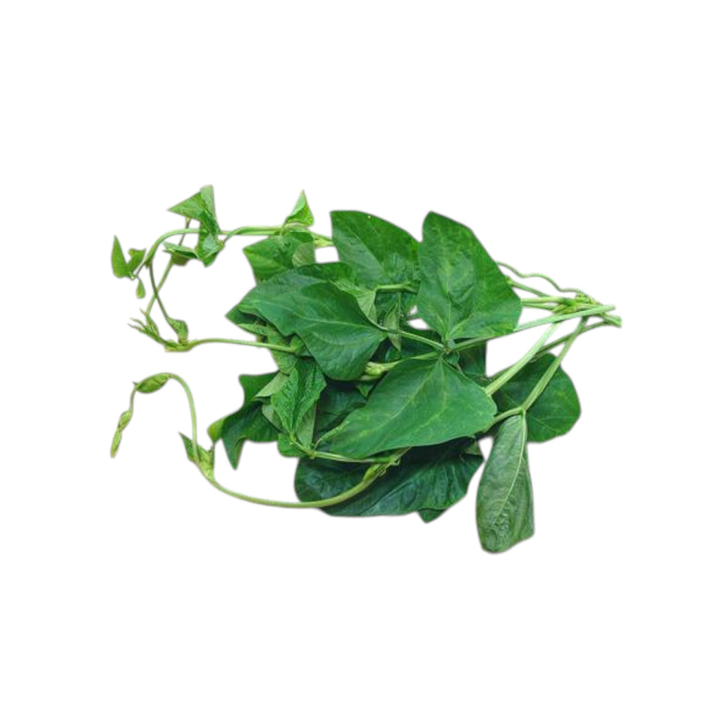 Northeast Bean Leaves-1 Bunch