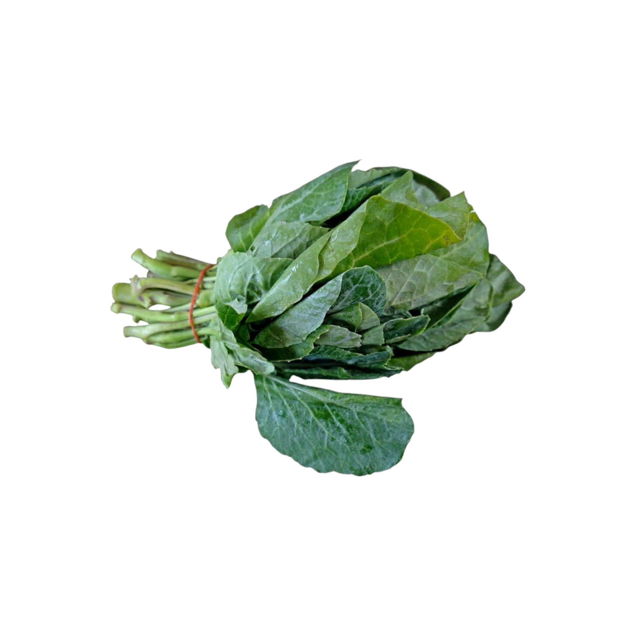 Local Cabbage | Kampong