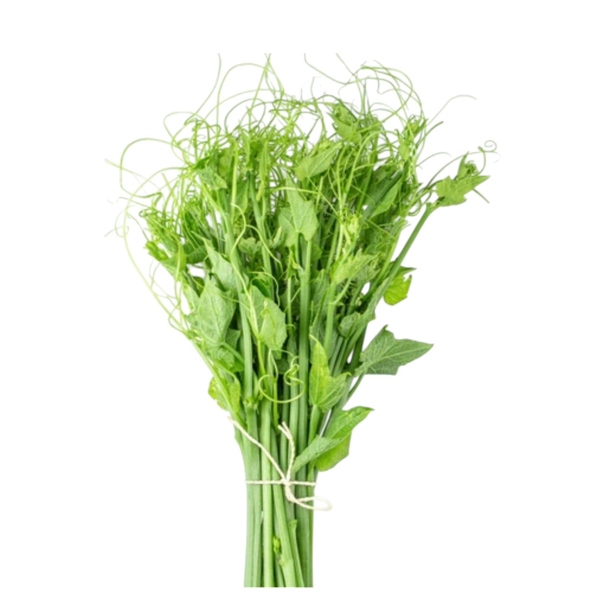 Chayote Leaves | Iskus ko Munta