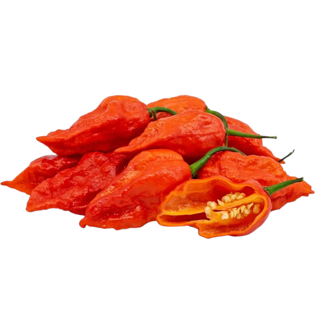 Fiery Naga King Chilly