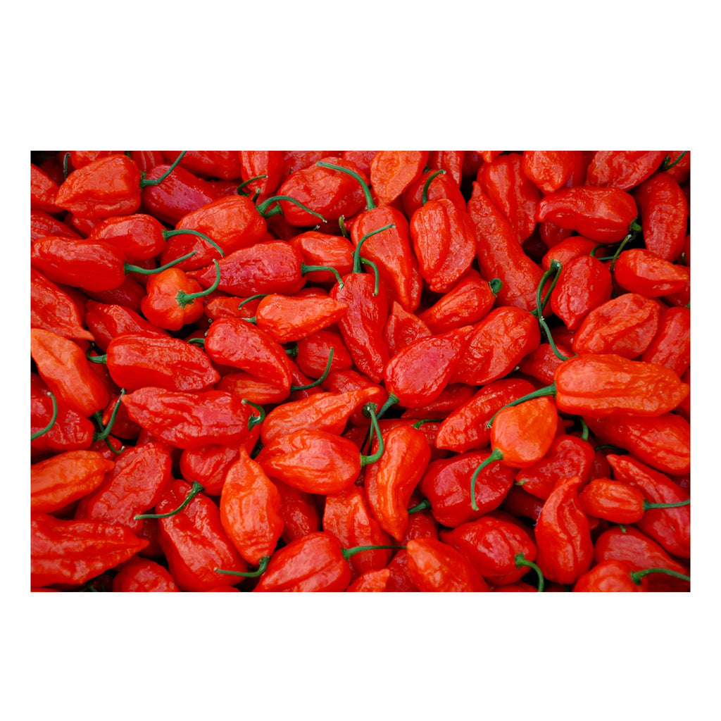 Fiery Naga King Chilly
