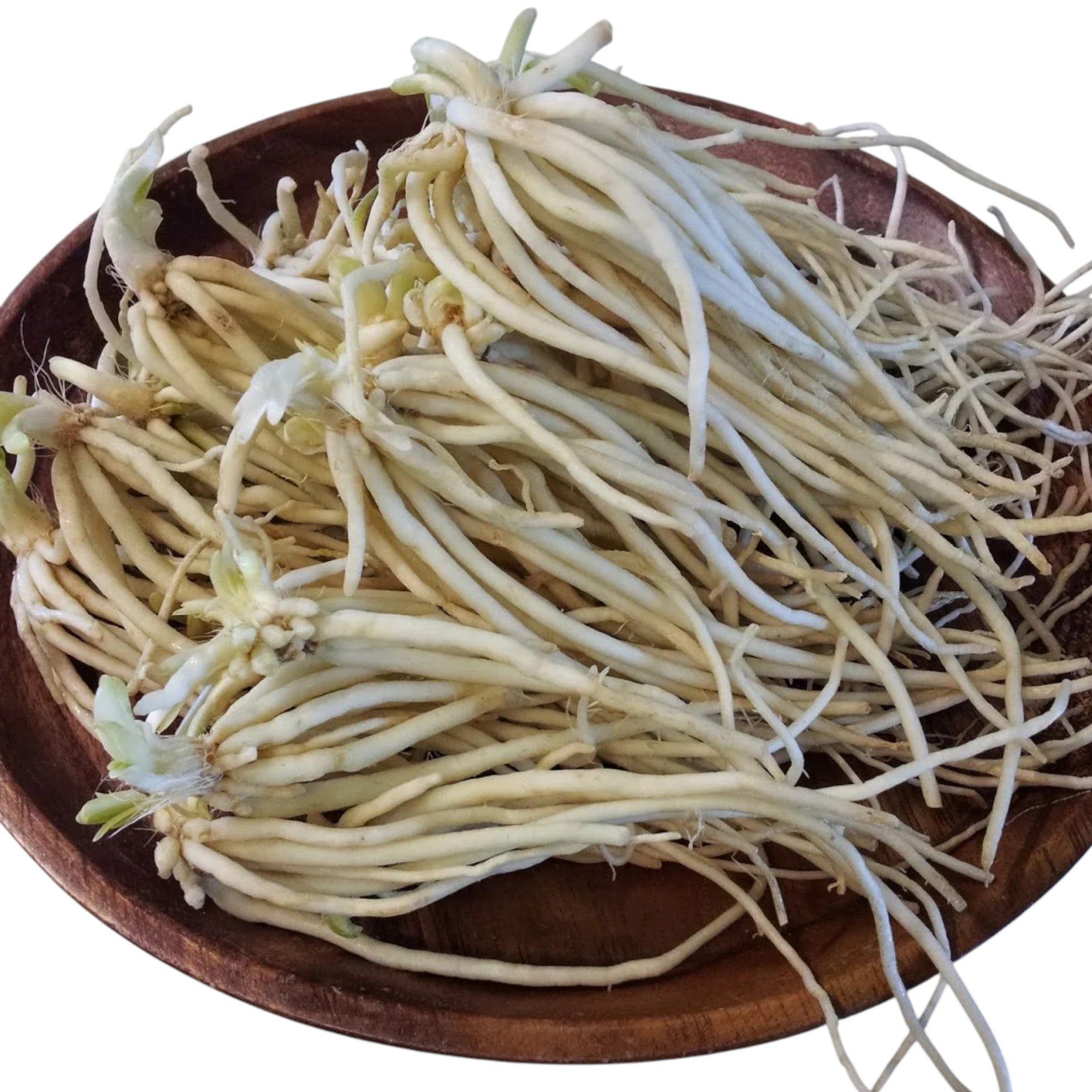 Hooker Chives| Napakpi Maroi | Louthul