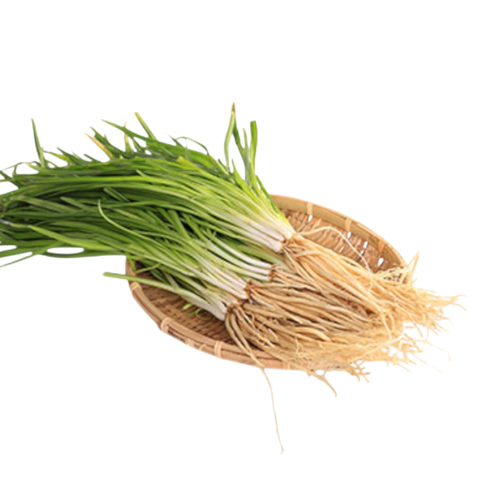 Hooker Chives| Napakpi Maroi | Louthul