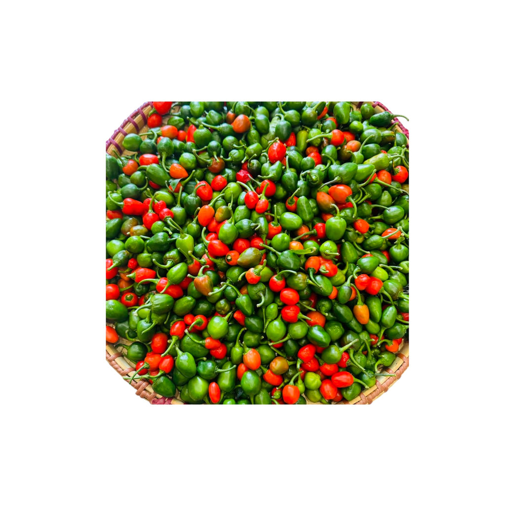 Dalle Khursani Chilly-50g