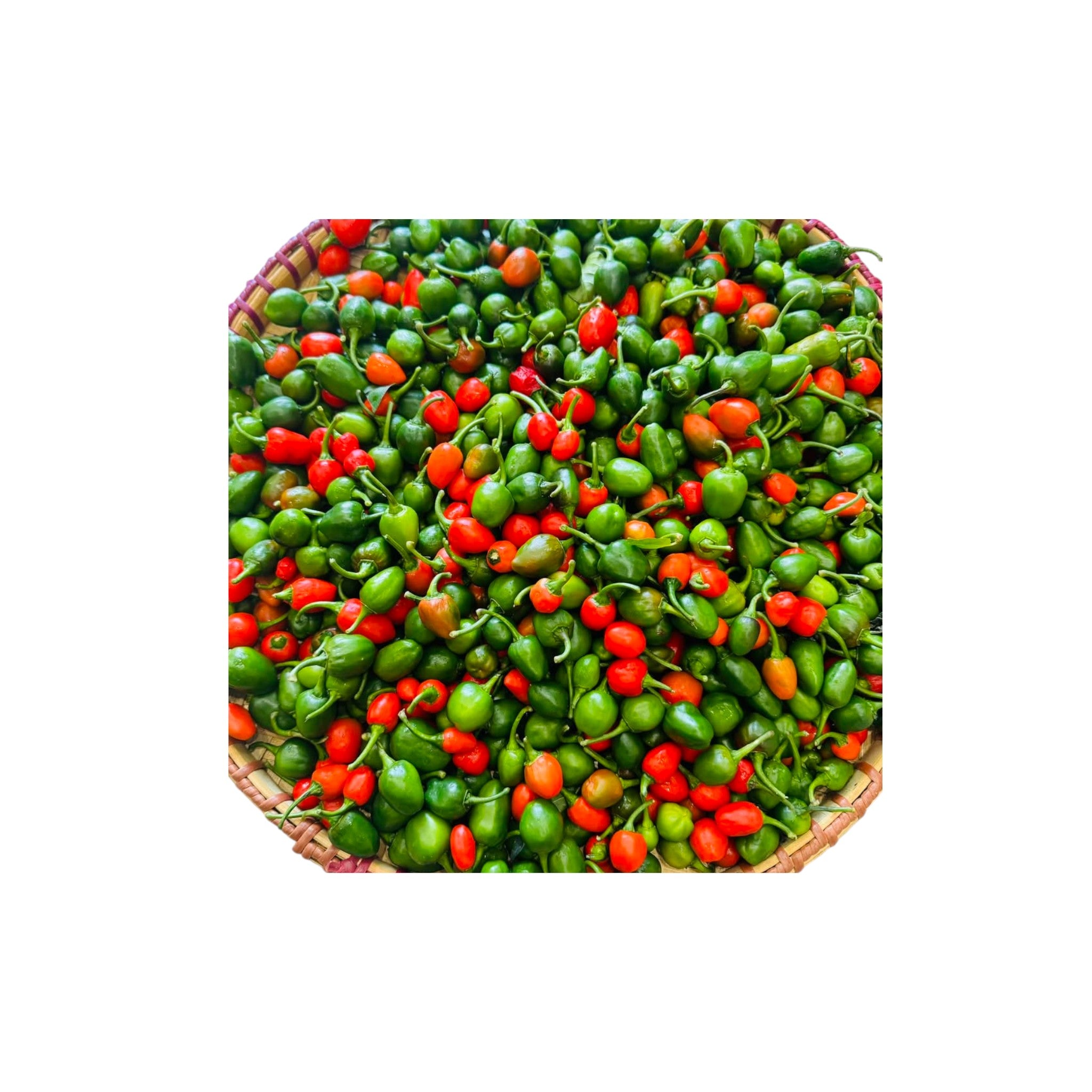 Dalle Khursani Chilly-50g