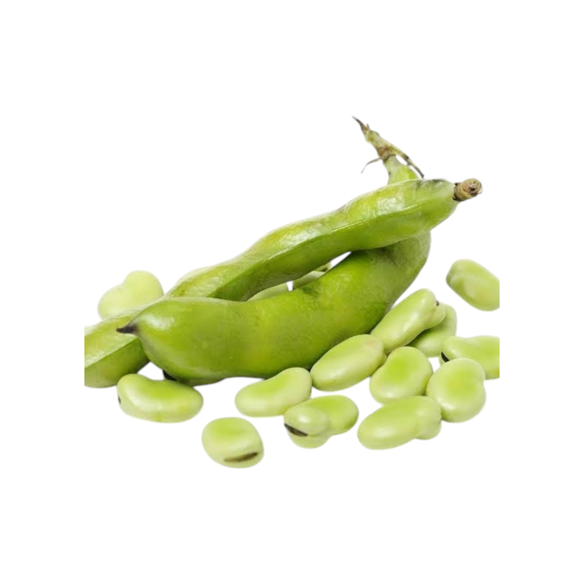 Fava Beans | Hawaimubi