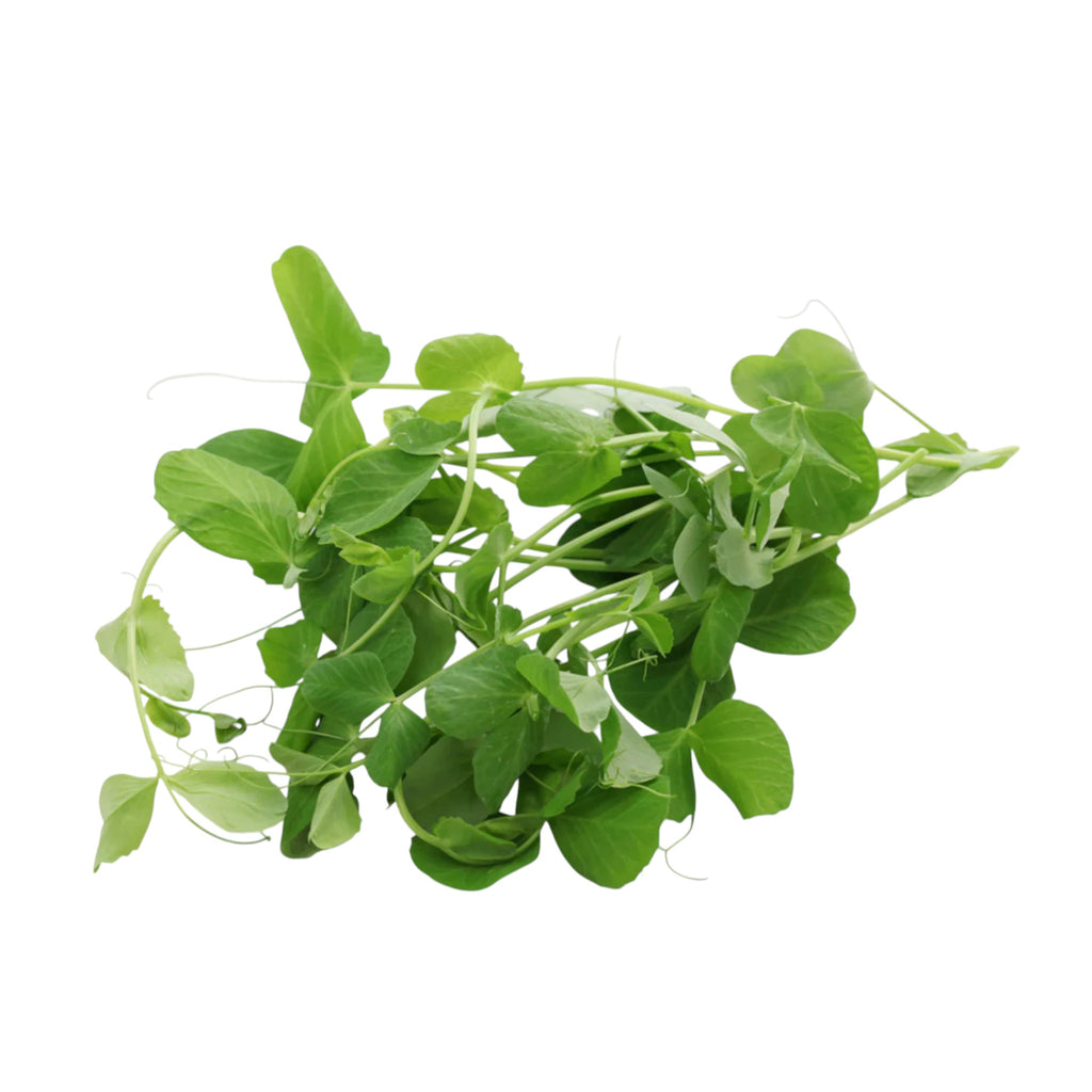 Snowpea Leaves | Mayanton | Hawaithrak Naa