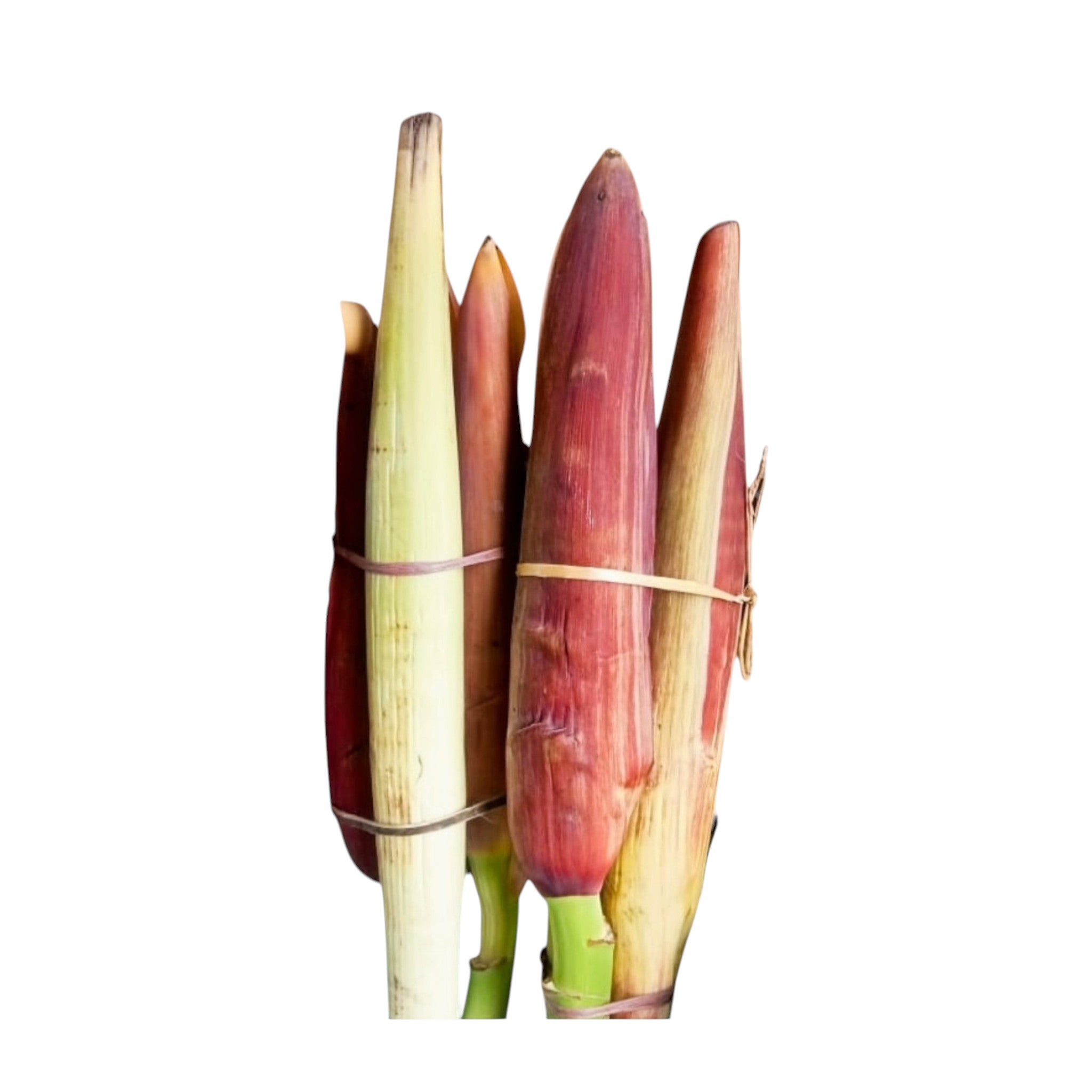 Banana Flower | Nagai