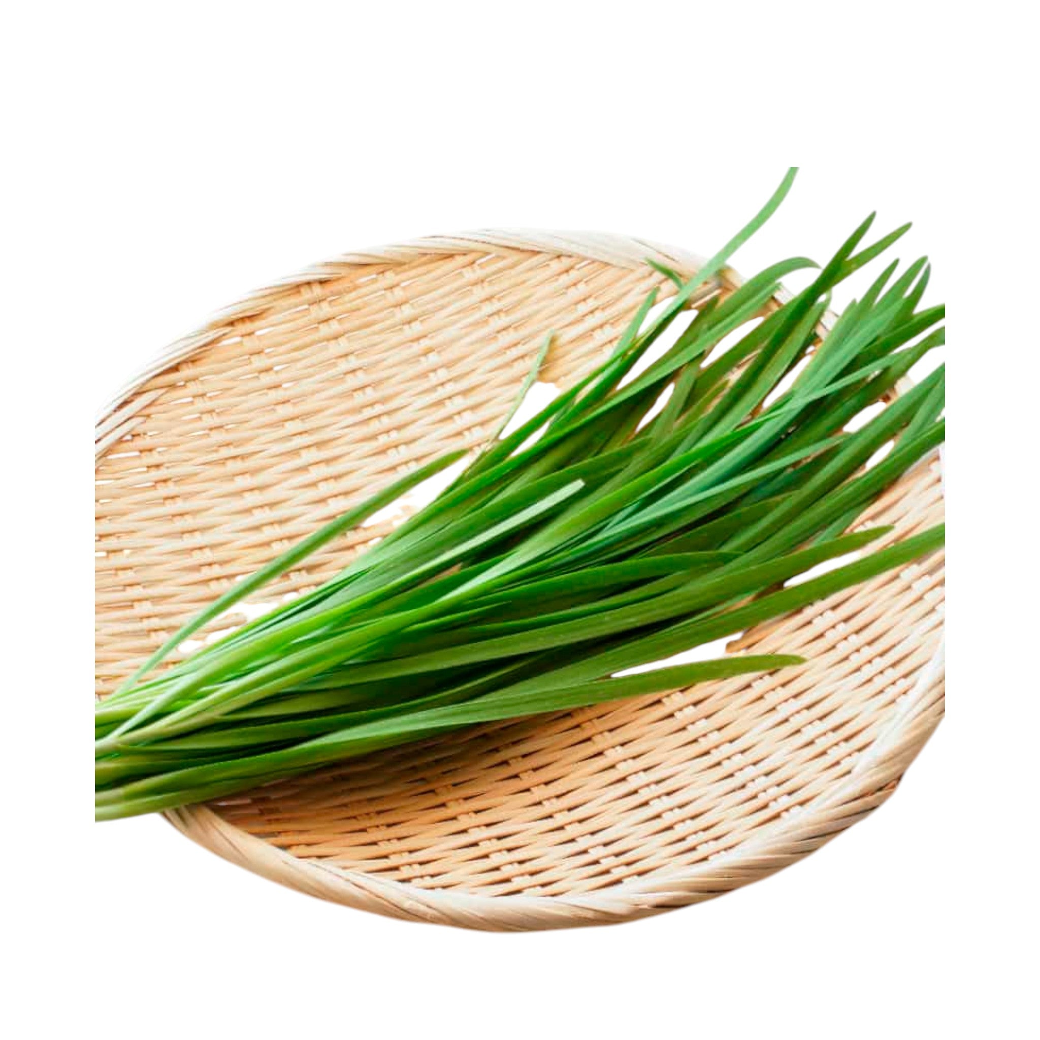 Asian Chives | Maroi Nakupi