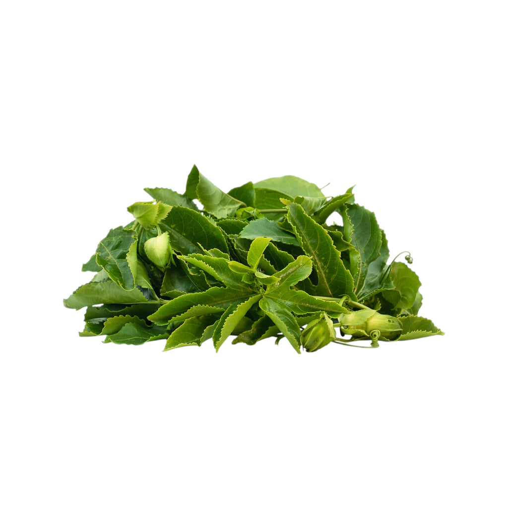 Fresh Passion Fruit Leaves | Saptheina