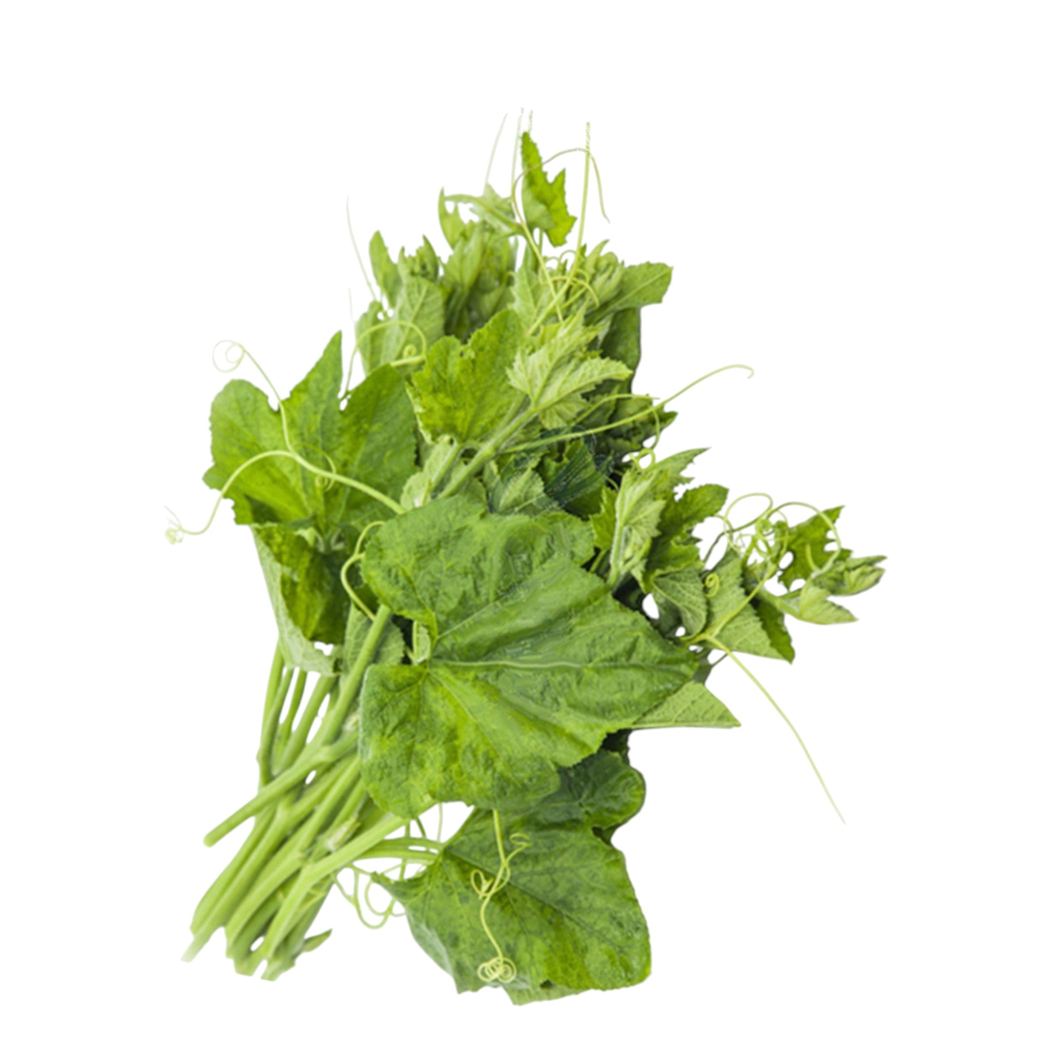 Pumkin Leaves 1 Bunch