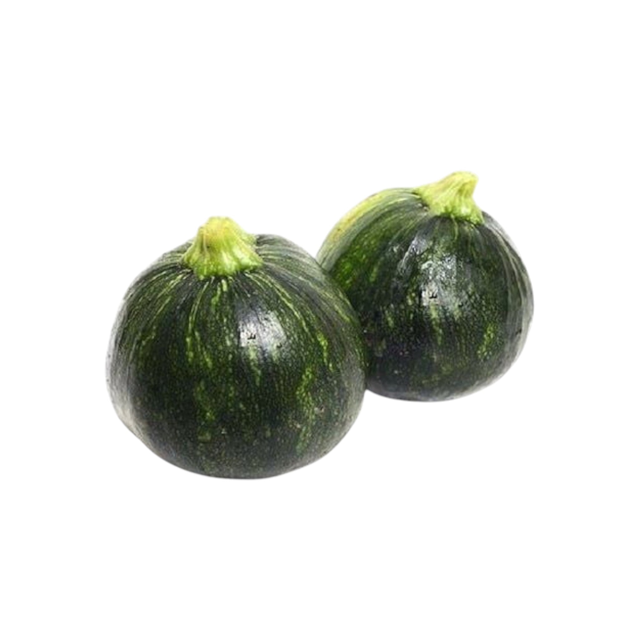 Tender Pumkin | Mainou