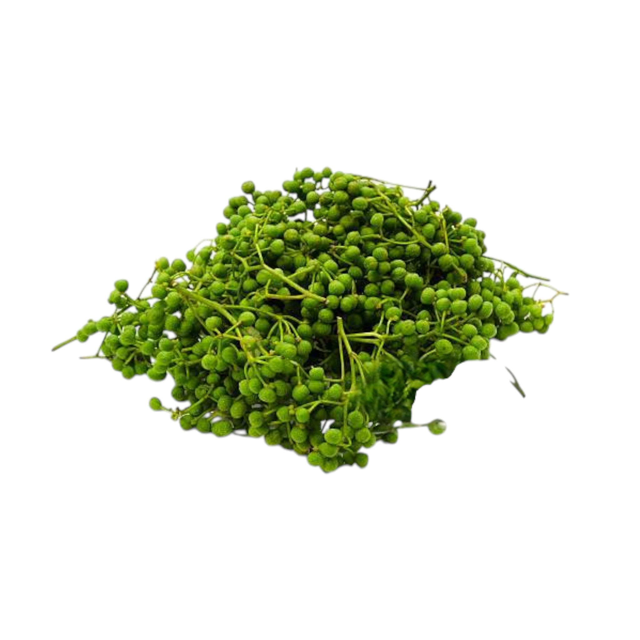 Mountain Pepper | Thingthinga | Maqaw Pepper