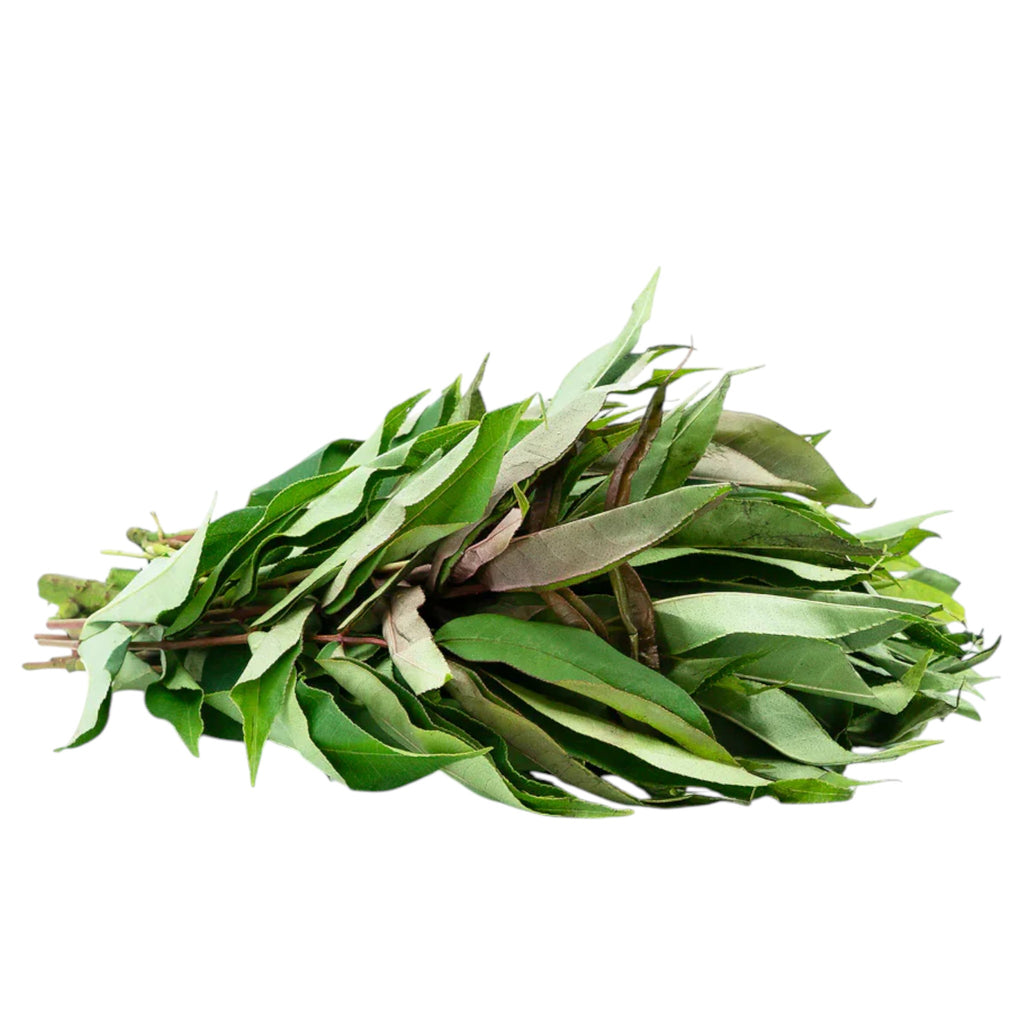 Sichuan Pepper Leaves | Singjol Leaves | Mejenga Leaves