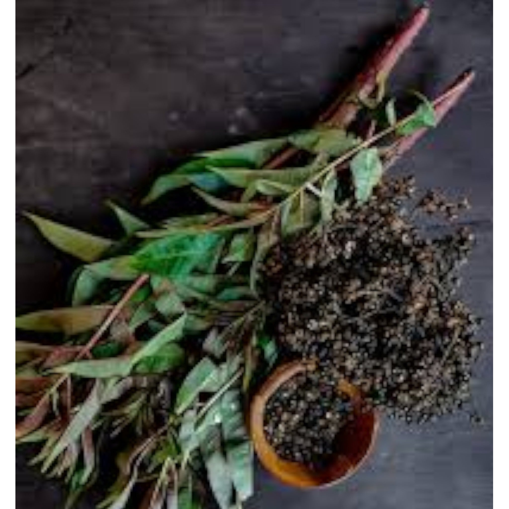 Sichuan Pepper Leaves | Singjol Leaves | Mejenga Leaves