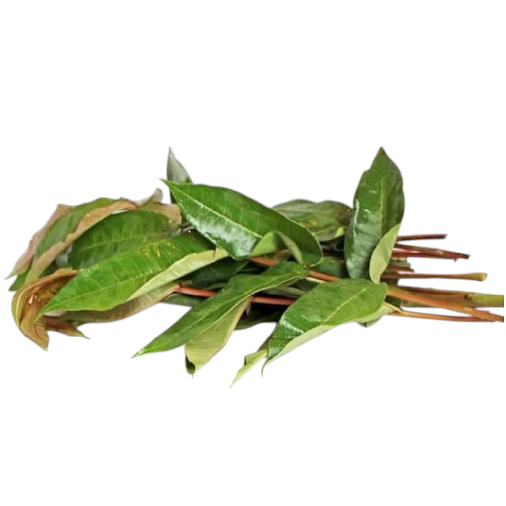 Sichuan Pepper Leaves | Singjol Leaves | Mejenga Leaves