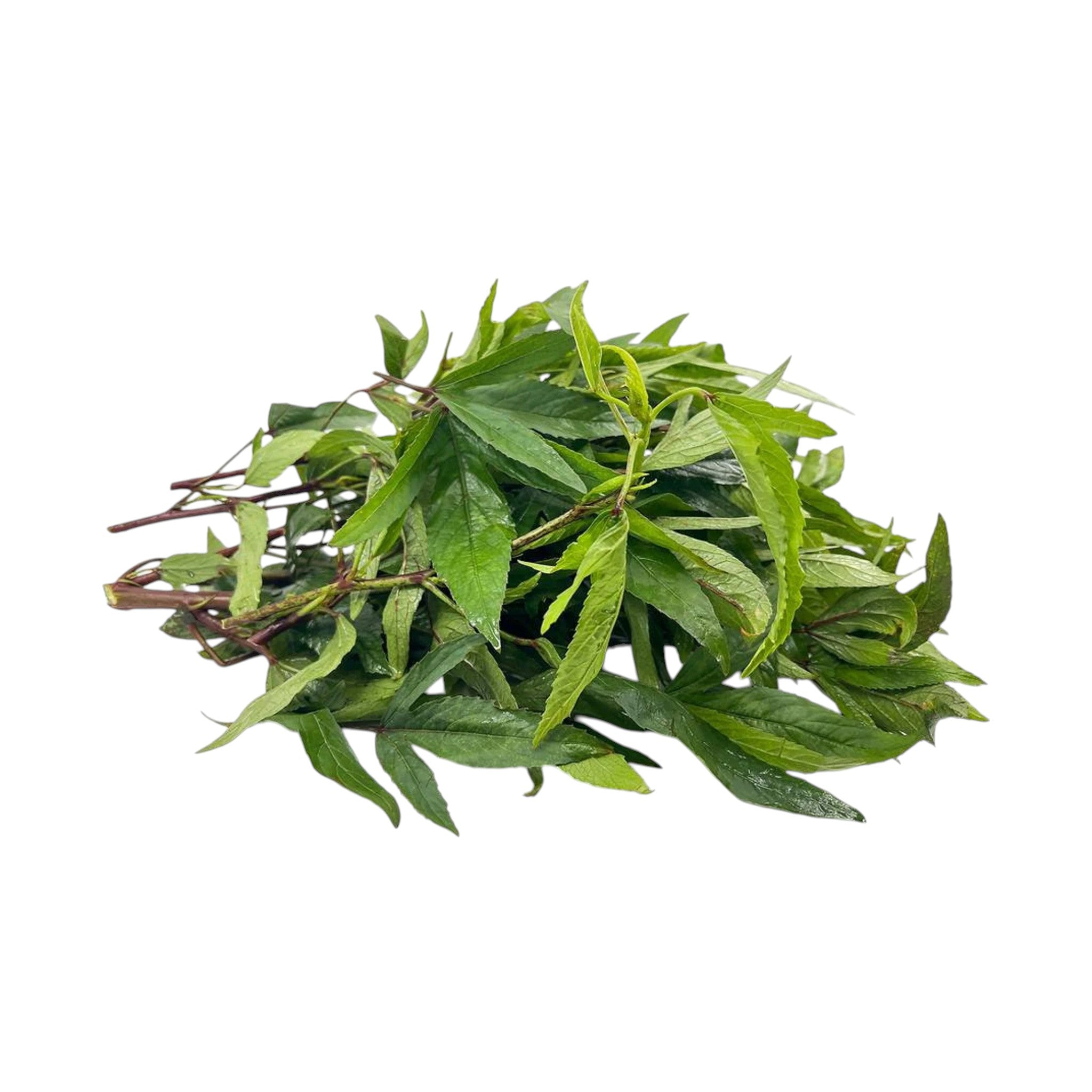 Sougri| Roselle Leaves