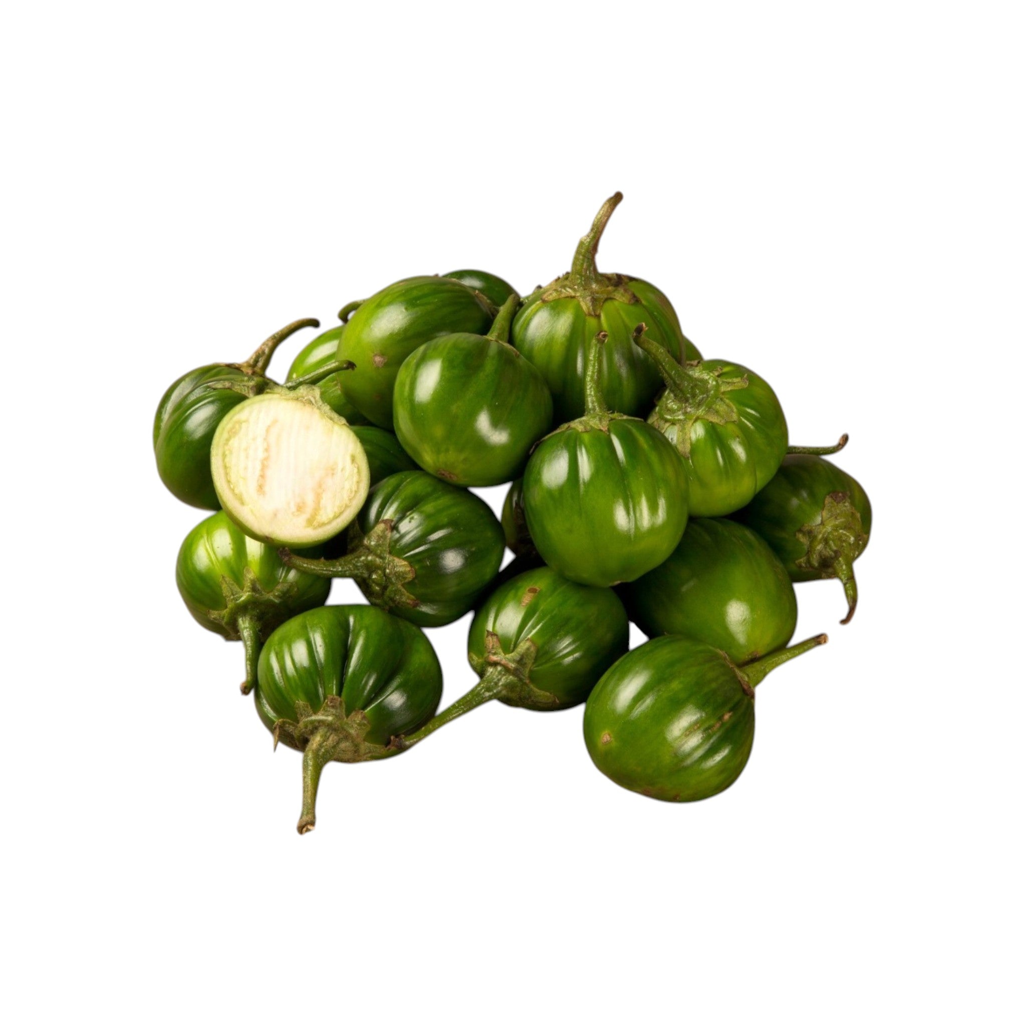 Bitter Eggplant | Anjangkha | Likok