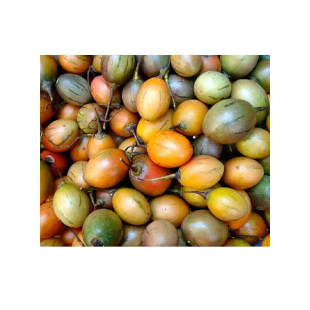 Tree Tomato | Thing Khamen (3pcs)