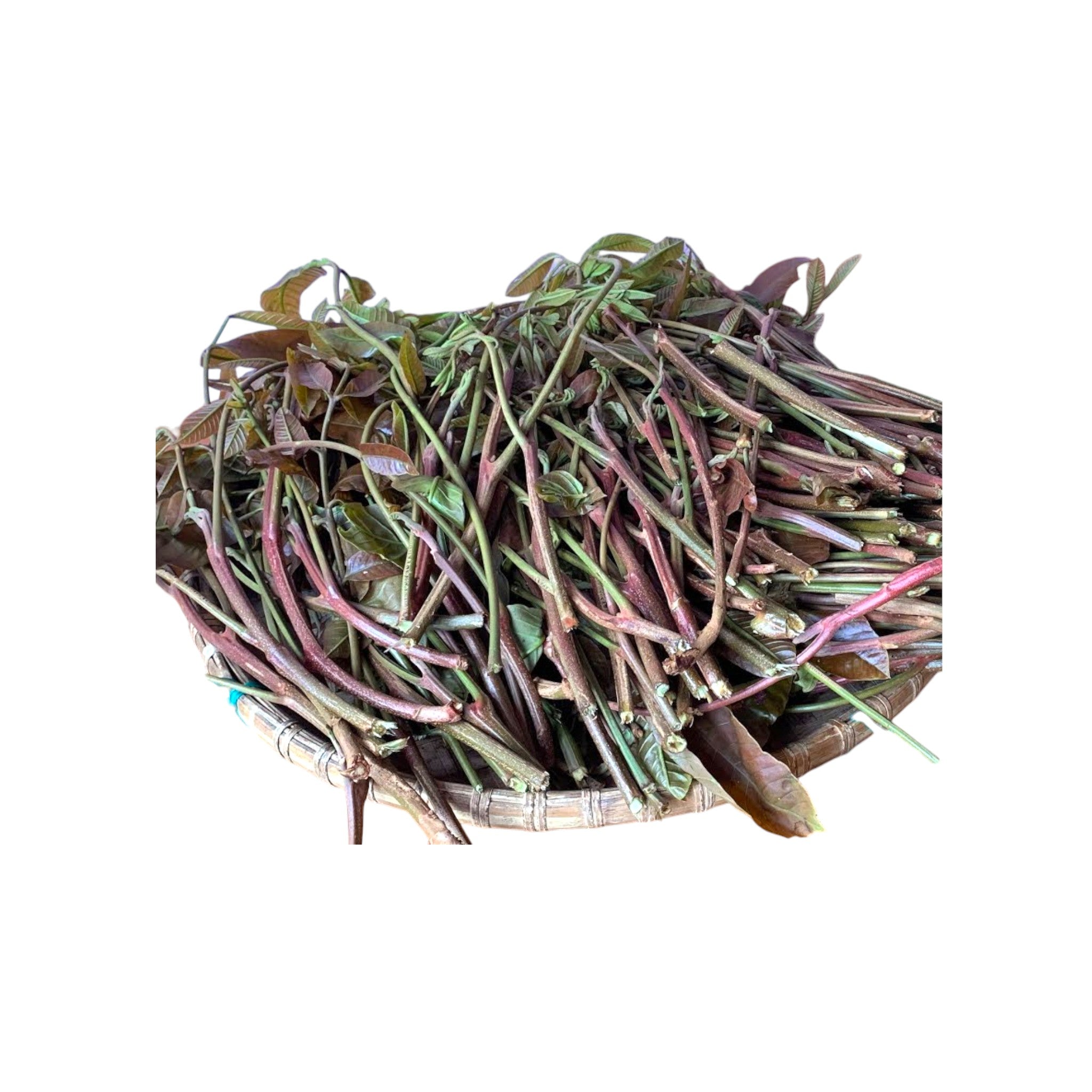 Thingthupi | Singthupi