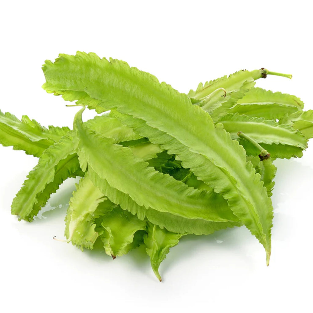 Winged Beans