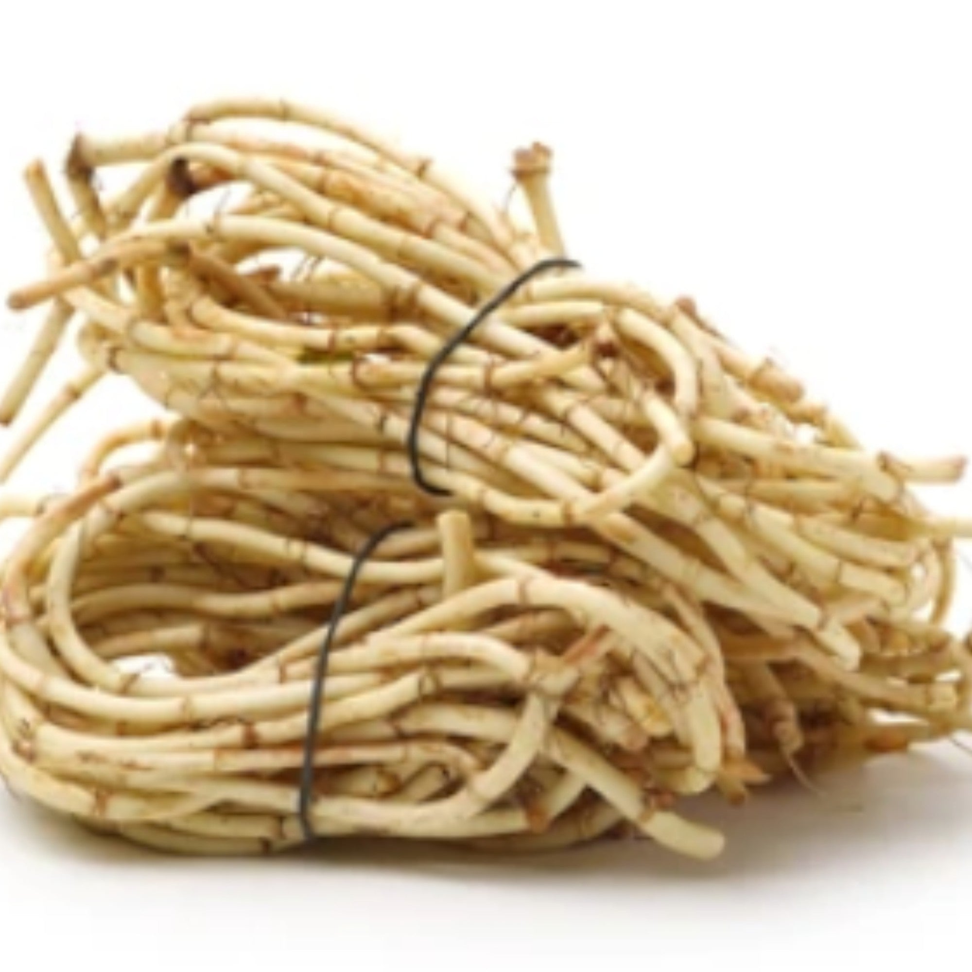 Fish Mint Leaves | Aithanglou | Tokningkok