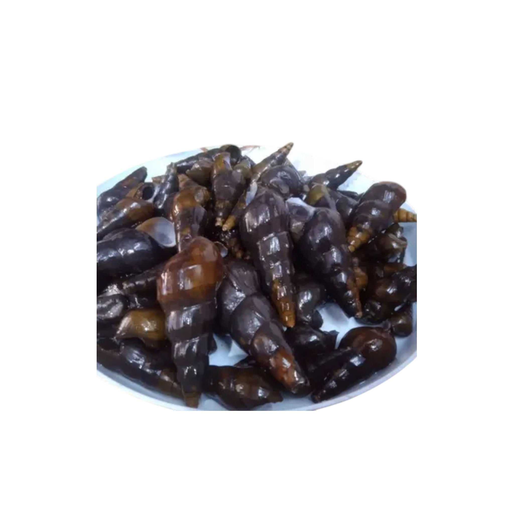 Long Culinary Snail-500g