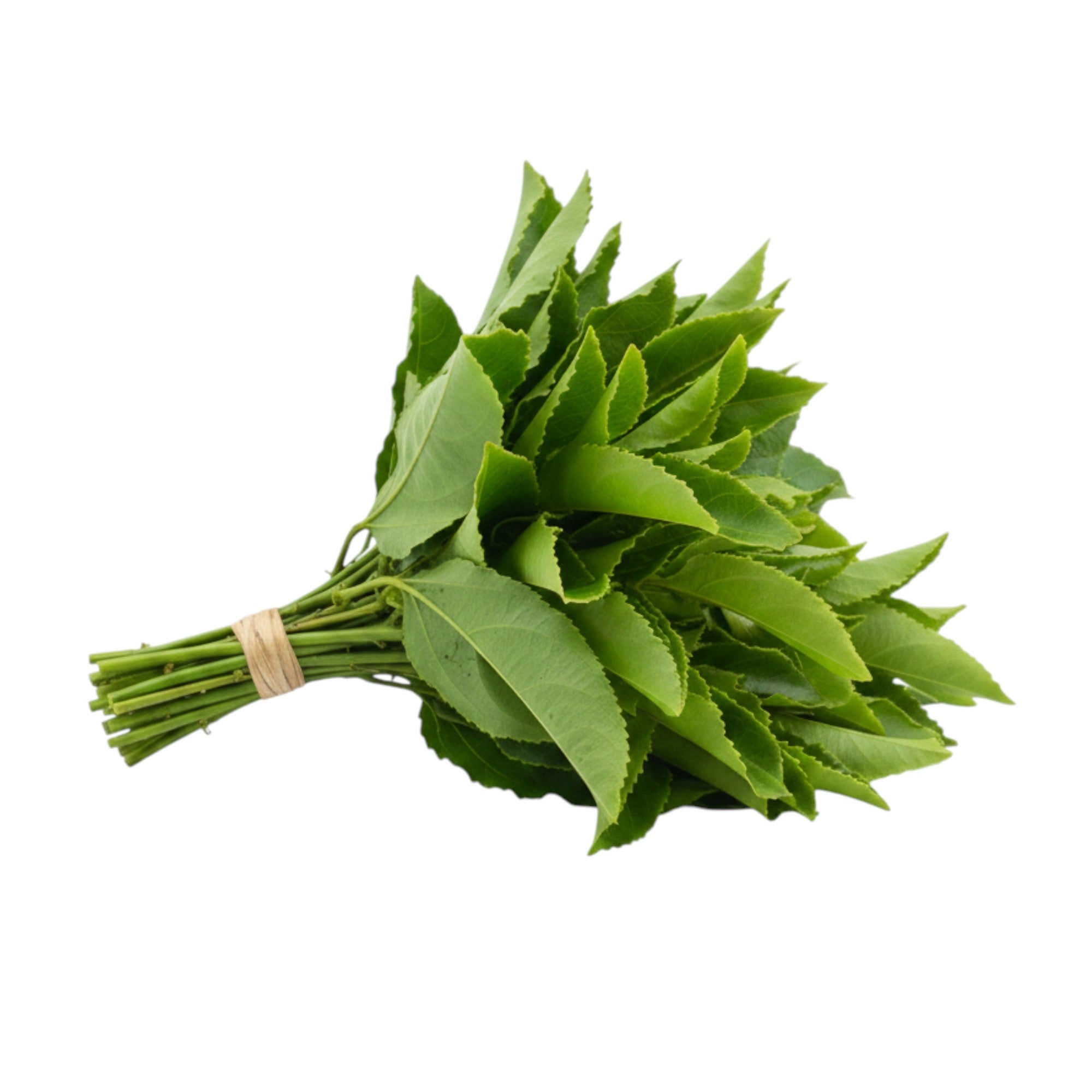 Fresh Passion Fruit Leaves | Saptheina