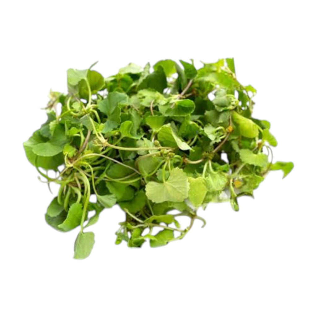 Asiatic Pennywort| Peruk | Changkongche