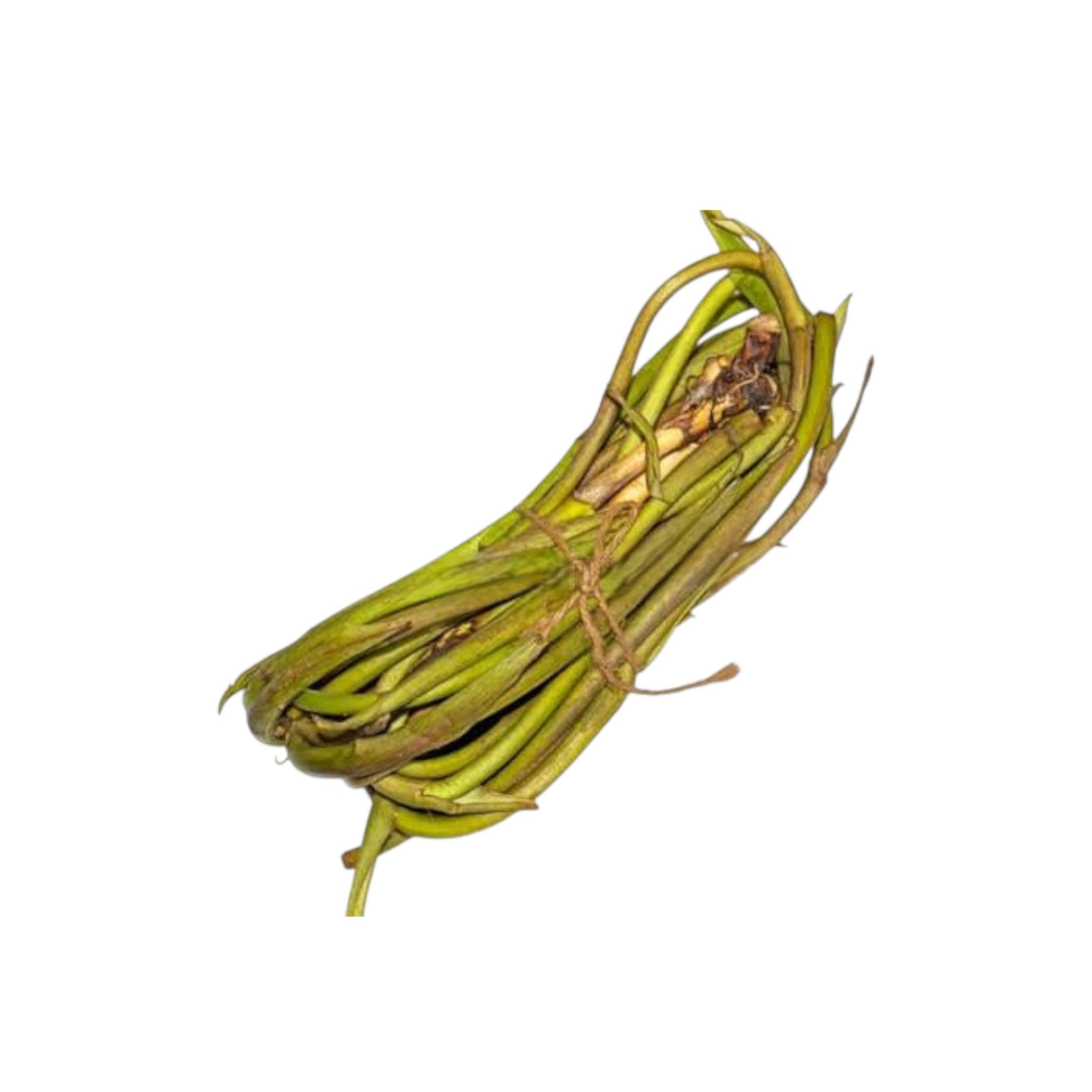 Taro Stalk | Yam Stalk | Doljih