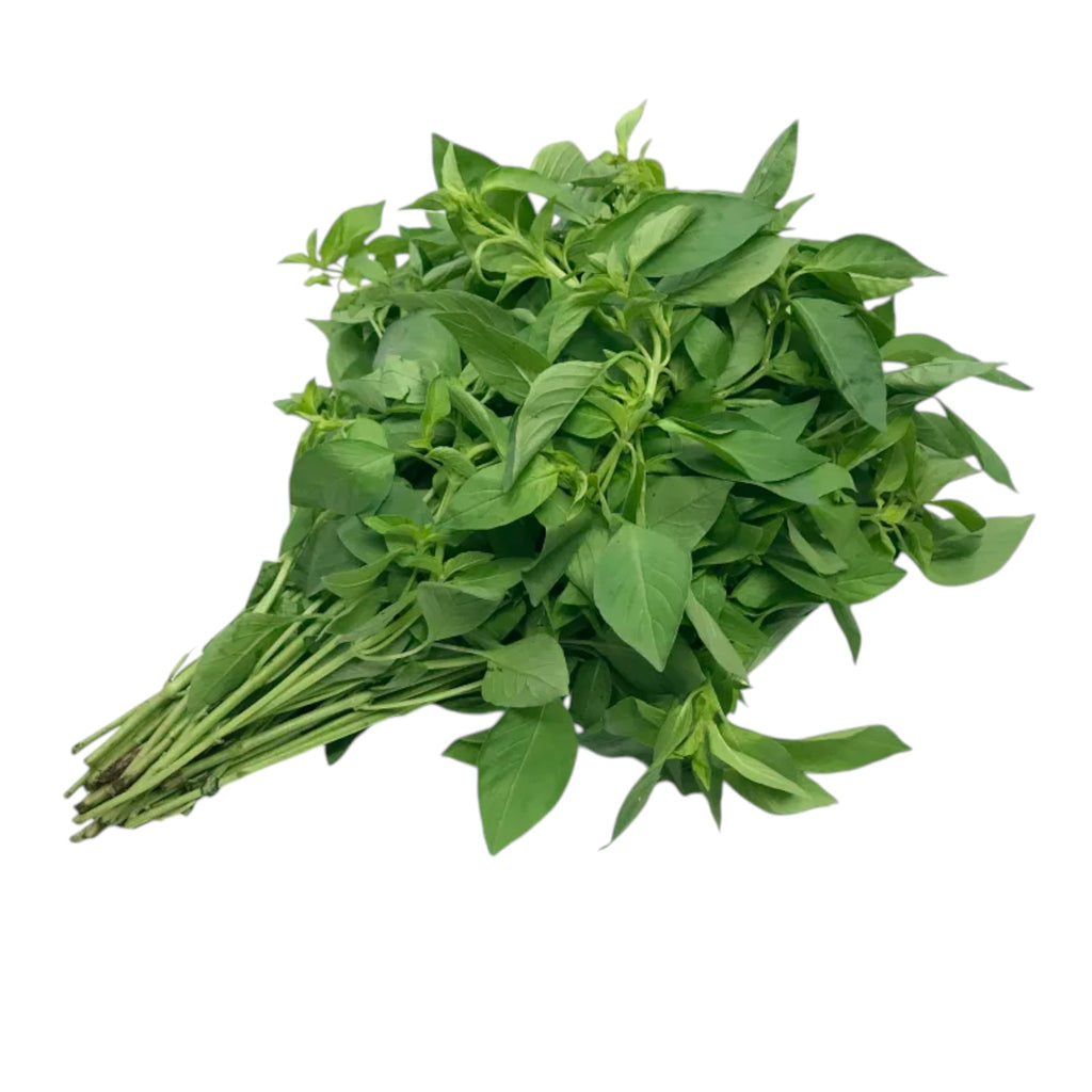 Hoary Basil | Maroi Mayangpa