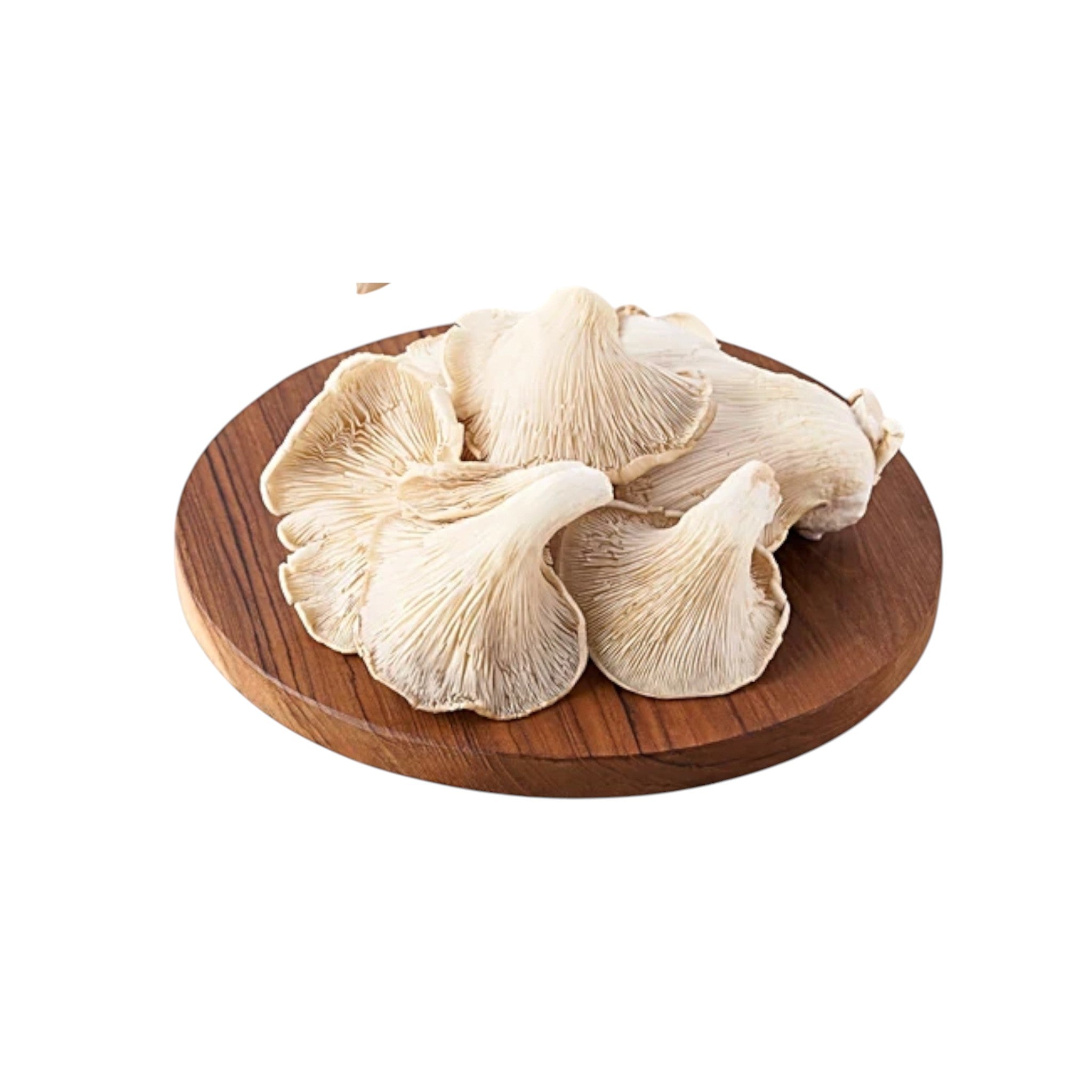 Fresh Oyster Mushroom-100g