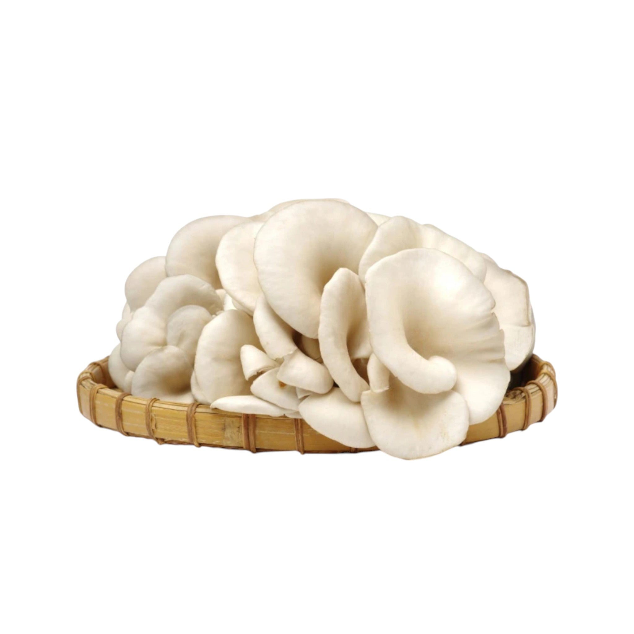 Fresh Oyster Mushroom-100g